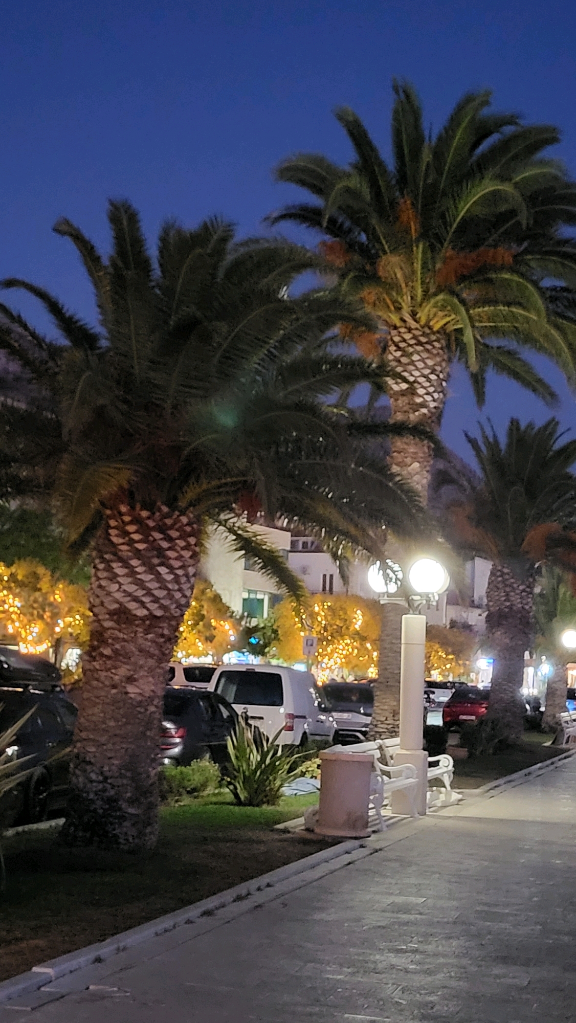 This image captures a twilight scene along a paved walkway in Općina Tučepi, Croatia. In the foreground, a concrete pathway with a gray curb runs along the right side of the frame. Adjacent to the walkway is a grassy area with a white bench and a cylindrical trash receptacle with a pinkish-beige hue. To the left of the bench, several palm trees with distinctive textured trunks are prominent. The palm trees are positioned in front of a backdrop of buildings and trees adorned with numerous small, bright yellow lights, suggesting a festive or decorative illumination. Several vehicles, including dark-colored cars and a white van, are parked on the other side of the palm trees, indicating a public area such as a street or parking lot. The sky above is a deep, clear blue, characteristic of dusk or early evening. The overall impression is that of a coastal town at night, with pedestrian areas illuminated by artificial lighting and lush palm trees.