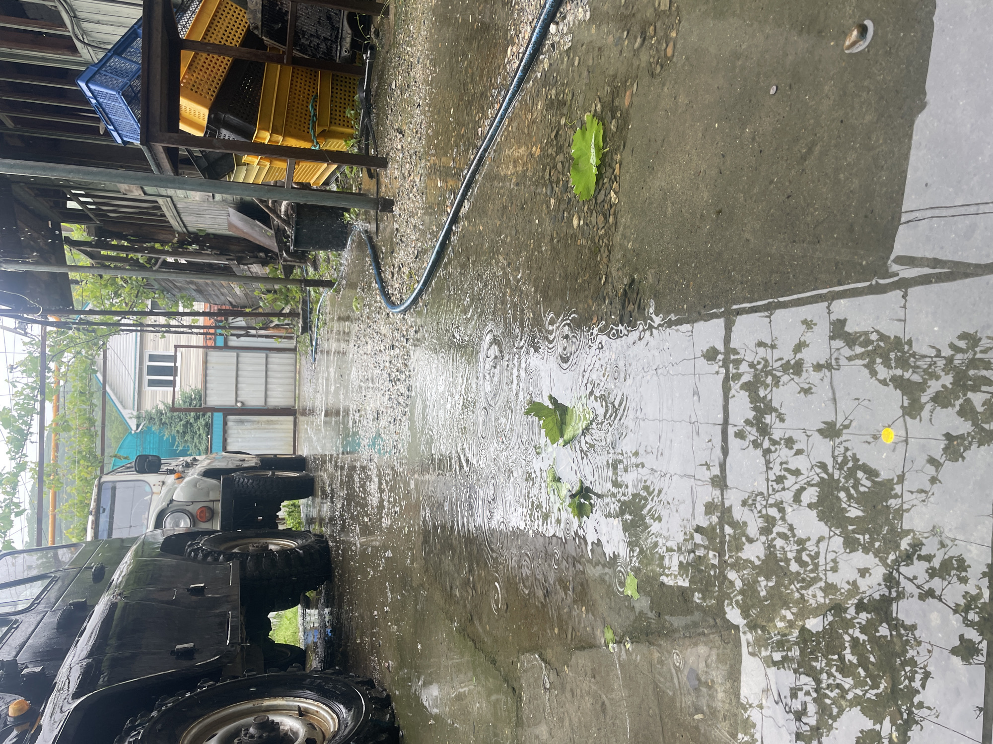 The image shows a wet outdoor scene in Olginka, Russia. Rain or standing water covers a concrete surface, creating reflections of the surrounding environment. Two off-road vehicles are partially visible on the left side of the frame, one dark-colored and the other white. The wheels of the vehicles are muddy. A blue hose is connected to a water source and lies on the wet pavement. Nearby, a metal shelving unit holds several yellow and black crates. The background includes buildings, fences, and greenery, adding depth to the scene. Raindrops create ripples in the water.