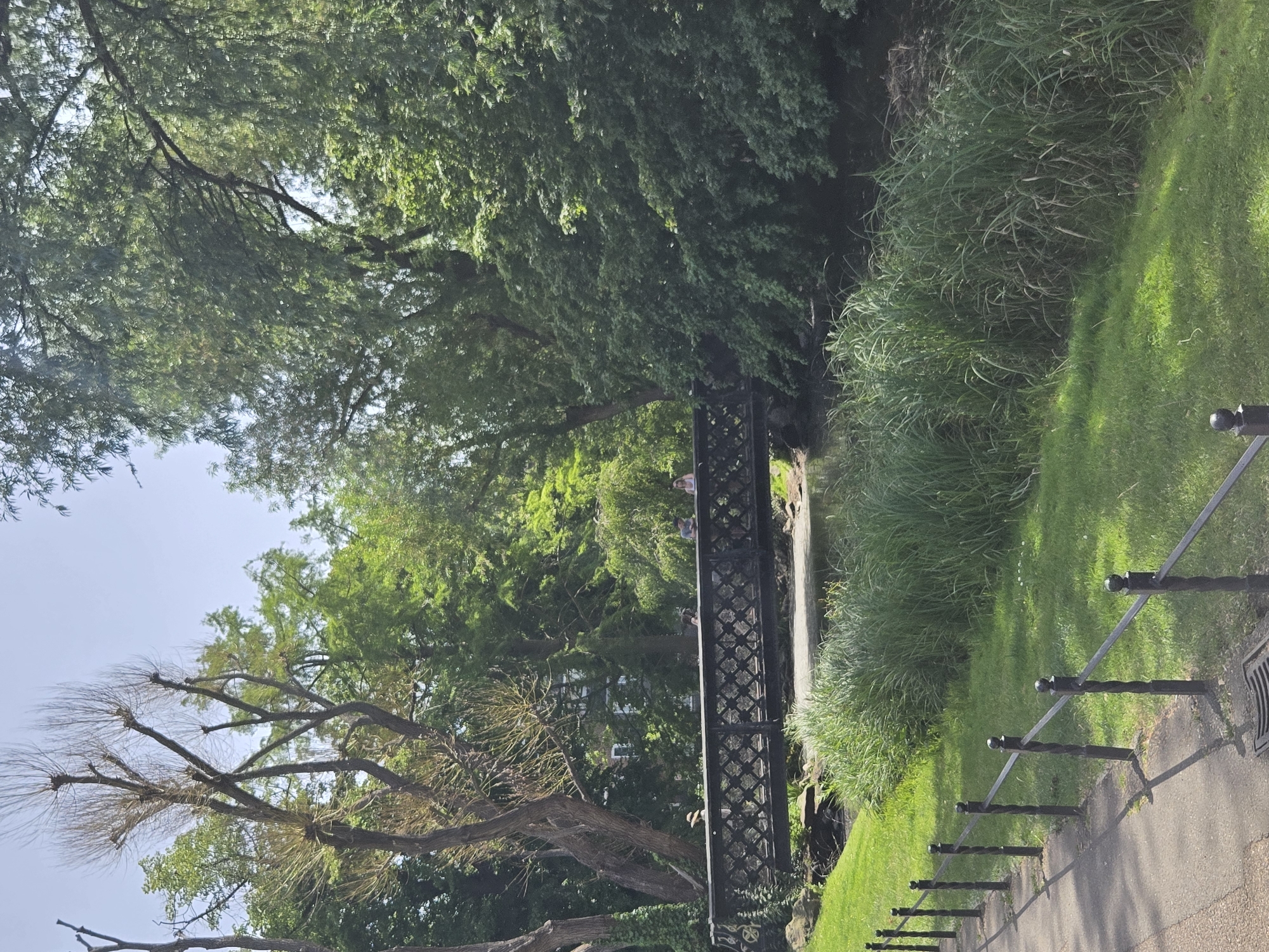 A bridge is the focal point of the image, set against a backdrop of dense foliage and greenery. A path with a low metal fence runs alongside a grassy bank. Two people are standing on the bridge; their forms are indistinct. The image is likely taken in a park or similar green space in London, United Kingdom.