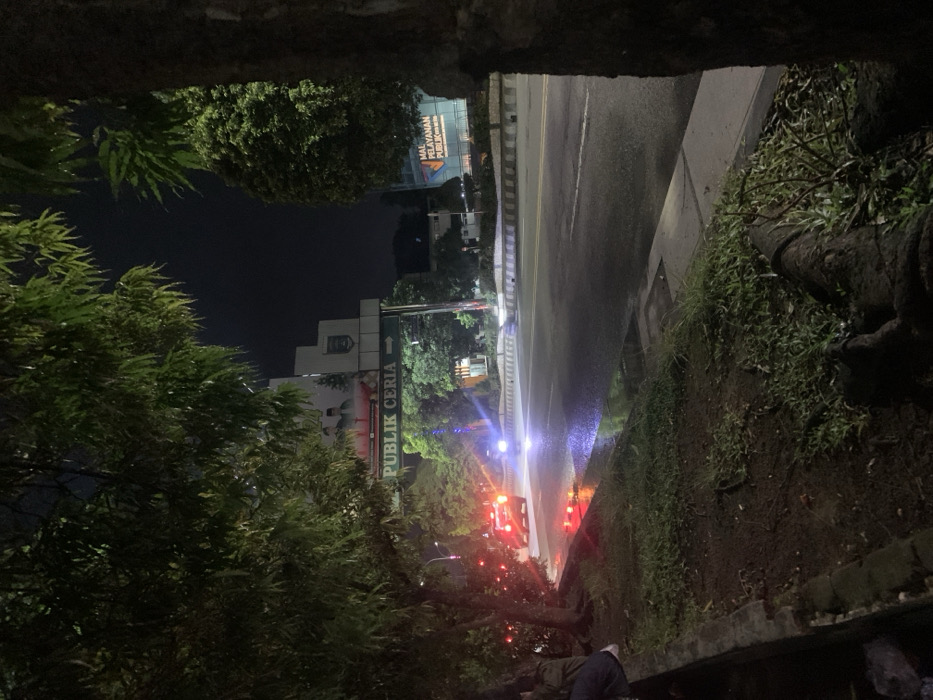 The image captures a nighttime urban or suburban scene, possibly in Metro, Indonesia, viewed from a low vantage point, framed by dark, rough concrete structures at the top and bottom. Lush green trees and dense foliage dominate the left side of the frame, partially obscuring the background.
On the right, a wet asphalt road stretches into the distance, reflecting the bright artificial lights of streetlamps and vehicles. Several vehicles are visible on the road, indicated by intense white headlights from an approaching vehicle and red taillights from others further down, suggesting active traffic. The wet road surface indicates recent rainfall.
In the mid-ground, behind the trees, a multi-story building displays a large, illuminated sign reading "MALL PELAYANAN PUBLIK" (Public Service Mall). To its right, another building features a sign with the text "PUBLIK CERIA" (Cheerful Public) and an arrow pointing right.
In the immediate bottom foreground, a person is partially visible, wearing a dark jacket and a light-colored hat, looking towards the illuminated road. The overall setting is an active urban roadside at night, with various light sources contributing to a dynamic atmosphere.