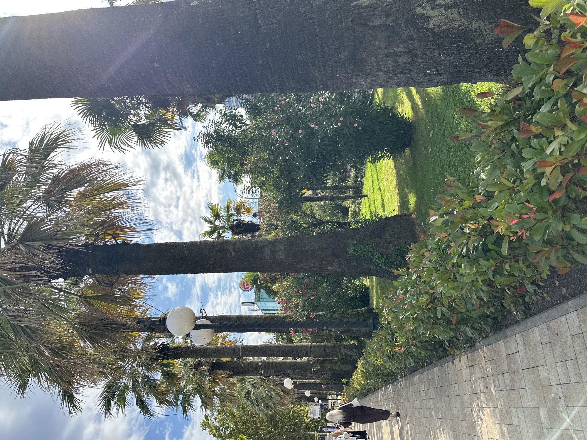 A woman with blonde hair, wearing a dark brown dress and carrying a white bag, walks along a paved pedestrian walkway lined with lush green bushes. Palm trees are abundant, with some reaching high into the bright blue sky dotted with white clouds. A Burger King sign is visible in the distance. The scene appears to be a sunny day in a city park or along a promenade in Sochi, Russia.