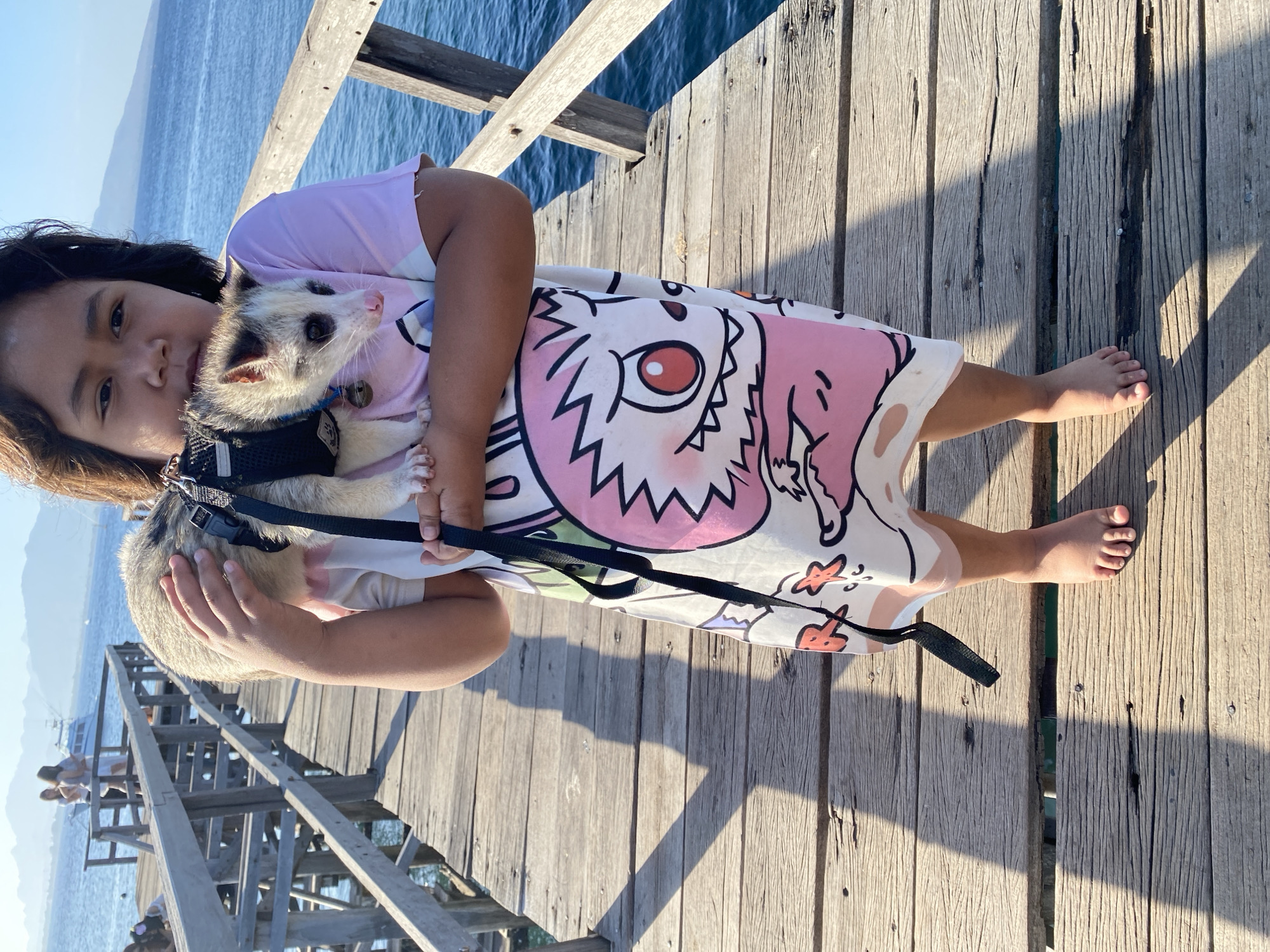 A young girl stands on a wooden pier, holding a possum. The possum is light brown and white with black markings around its eyes and a pink nose. It is wearing a black harness with a blue bell attached. The girl is wearing a pink and white dress with a cartoon character print. The pier is made of weathered wooden planks and is situated over a body of blue water. In the background, mountains are visible on the horizon, and several boats are docked in the distance. The sun is shining, casting shadows on the pier. The location is identified as Bulusan, Indonesia.