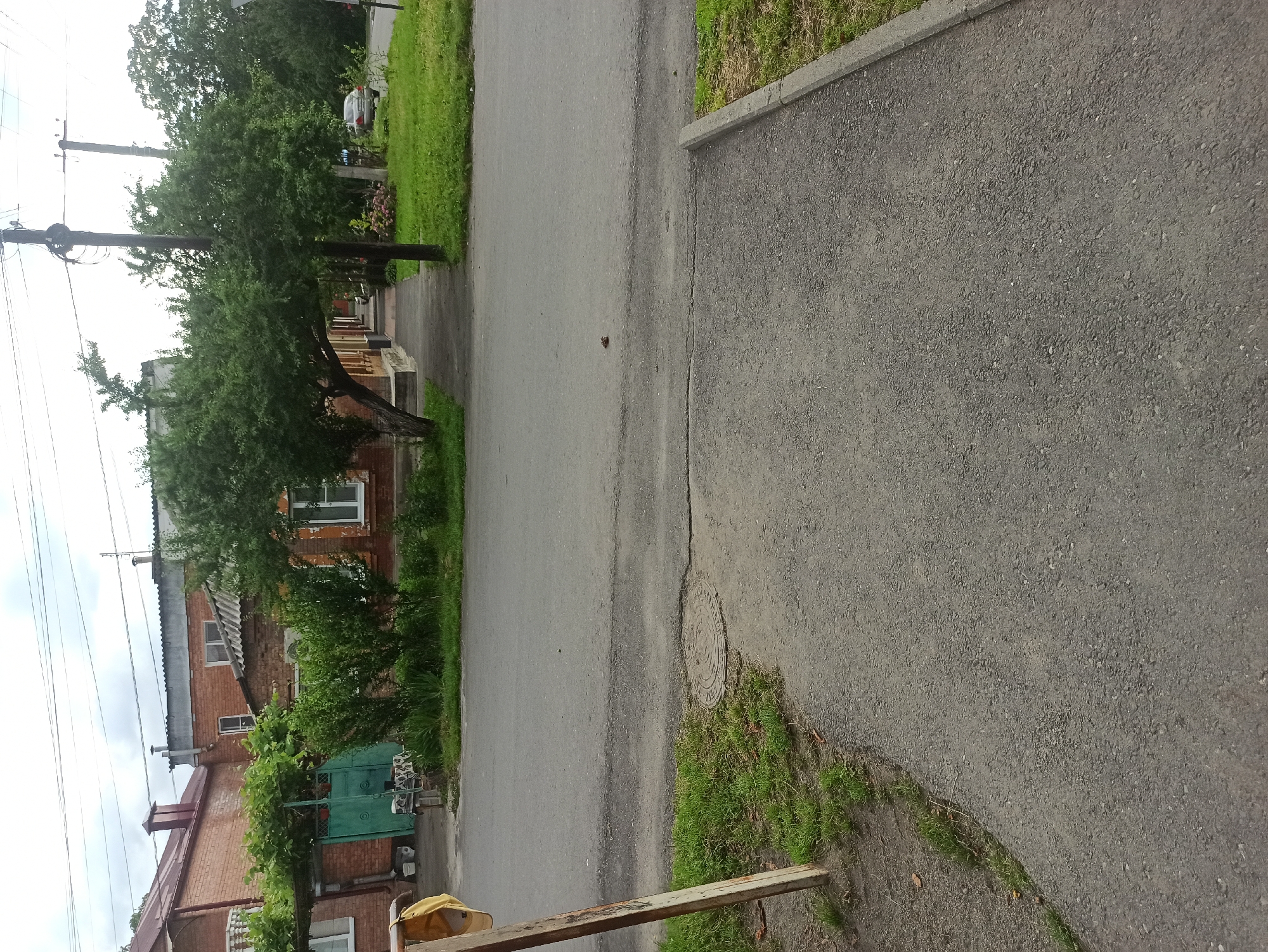 The image depicts an outdoor scene, likely a residential street or a quiet road, characterized by its natural and somewhat unkempt appearance. Dominating the frame is a paved road, with a sidewalk or pathway bordering one side, distinguished by a raised concrete edge. To the left of the road, a row of brick buildings suggests a neighborhood setting, with glimpses of windows and architectural details. Lush green trees and vegetation are interspersed throughout the scene, with one tree prominently leaning over the pathway, its branches reaching out. The ground is covered with grass and some patches of dirt, indicating a natural environment. A green metal gate is visible, adding a touch of color to the otherwise muted palette of the buildings and road. Overhead, power lines crisscross the sky, hinting at the presence of infrastructure. In the distance, a silver car is parked near one of the houses. The overall impression is one of a peaceful, possibly rural or suburban setting, during daytime. The weather appears to be overcast, judging by the diffused lighting and the lack of harsh shadows. There is no discernible text within the image.