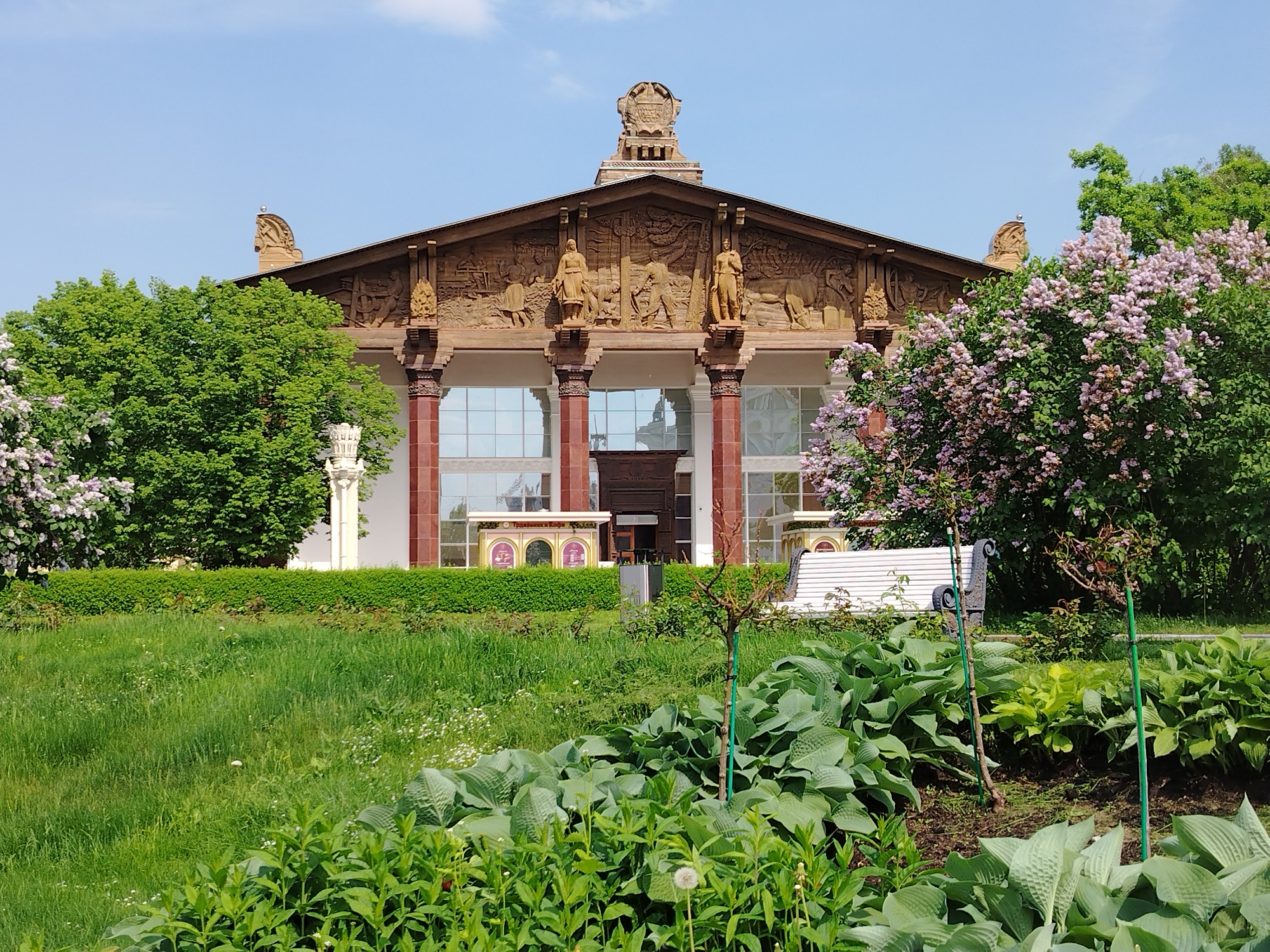A grand, classical-style building with a gabled roof dominates the center of the image, set amidst a vibrant green landscape. The building features ornate sculpted reliefs on its pediment and frieze, depicting human figures engaged in agricultural or industrial labor, and animals like cows. A prominent crest or emblem adorns the peak of the roof. Several reddish-brown columns support the entrance, which has large glass windows reflecting the sky and surrounding greenery.
In front of the building, two yellow-and-red kiosks or stands with arched windows are visible, partially obscured by neatly trimmed hedges. One of the kiosks has Cyrillic text, which appears to read "ТРОИЦКИЙ КОФЕ" (Troitsky Coffee). To the right of the building's entrance, a white park bench with decorative black metal arms is placed on a grassy area.
The foreground features lush green grass with some wildflowers, and a bed of large-leaved green plants resembling hostas. Several small, newly planted trees, supported by green stakes, are interspersed among these plants. On either side of the building, large, mature green trees frame the scene. To the right, a large lilac bush with numerous light purple blooms adds a splash of color.
The scene is bathed in bright daylight under a clear, pale blue sky with very few clouds, suggesting a sunny day, likely late morning or early afternoon. The overall impression is one of peaceful grandeur within a well-maintained park or garden setting, possibly an exhibition ground.