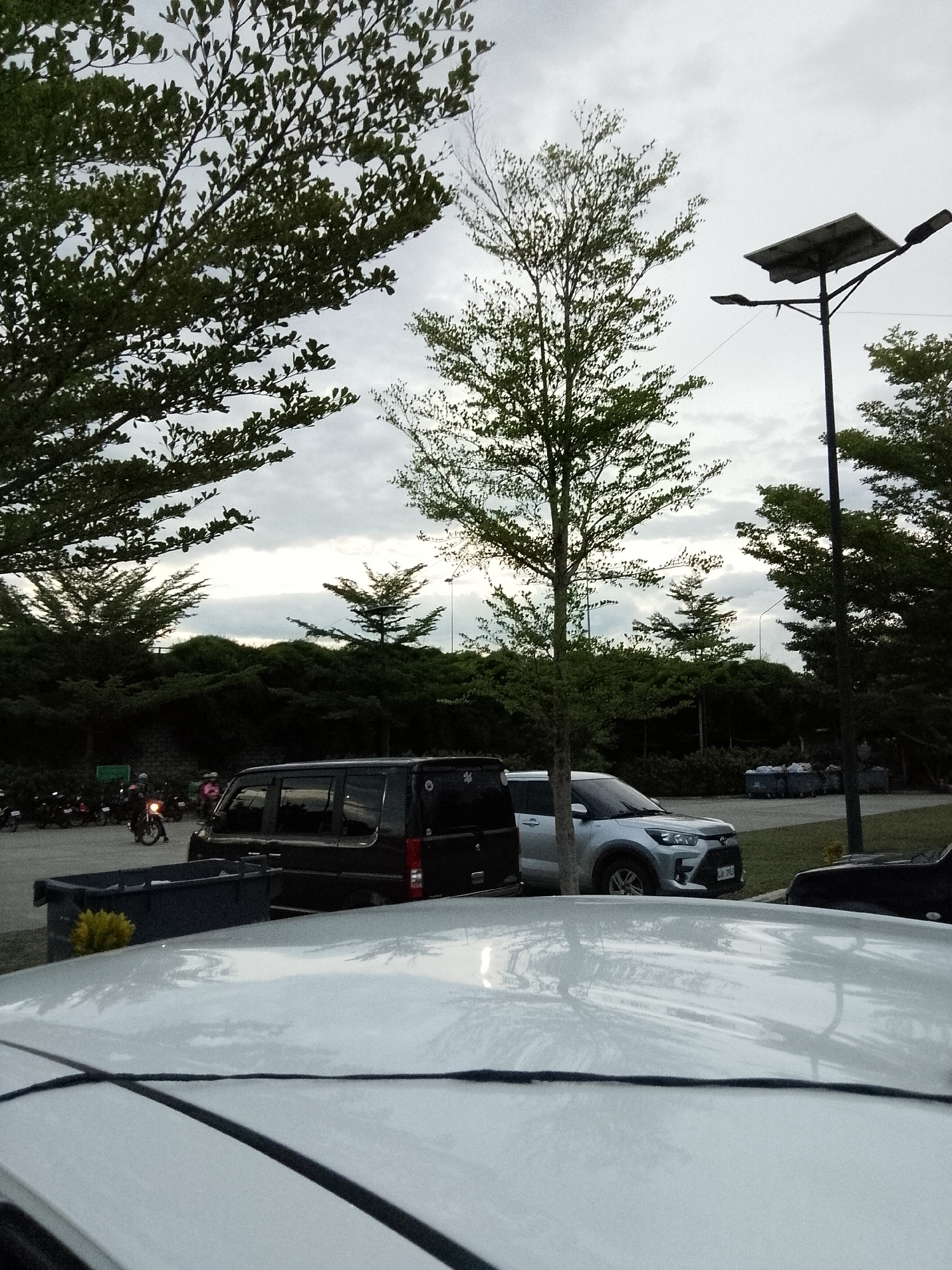 In a cloudy outdoor scene, possibly a parking lot, the foreground is dominated by the reflective white surface of a car's roof, with dark lines crossing it. Behind this, a dark minivan and a silver SUV are parked. A motorcycle with a rider is visible in the background, along with a line of parked motorcycles. Several large dark trash receptacles are also present. The middle ground features a row of trees and bushes. In the background, a solar-powered street lamp stands tall against the overcast sky, which is also dotted with trees.