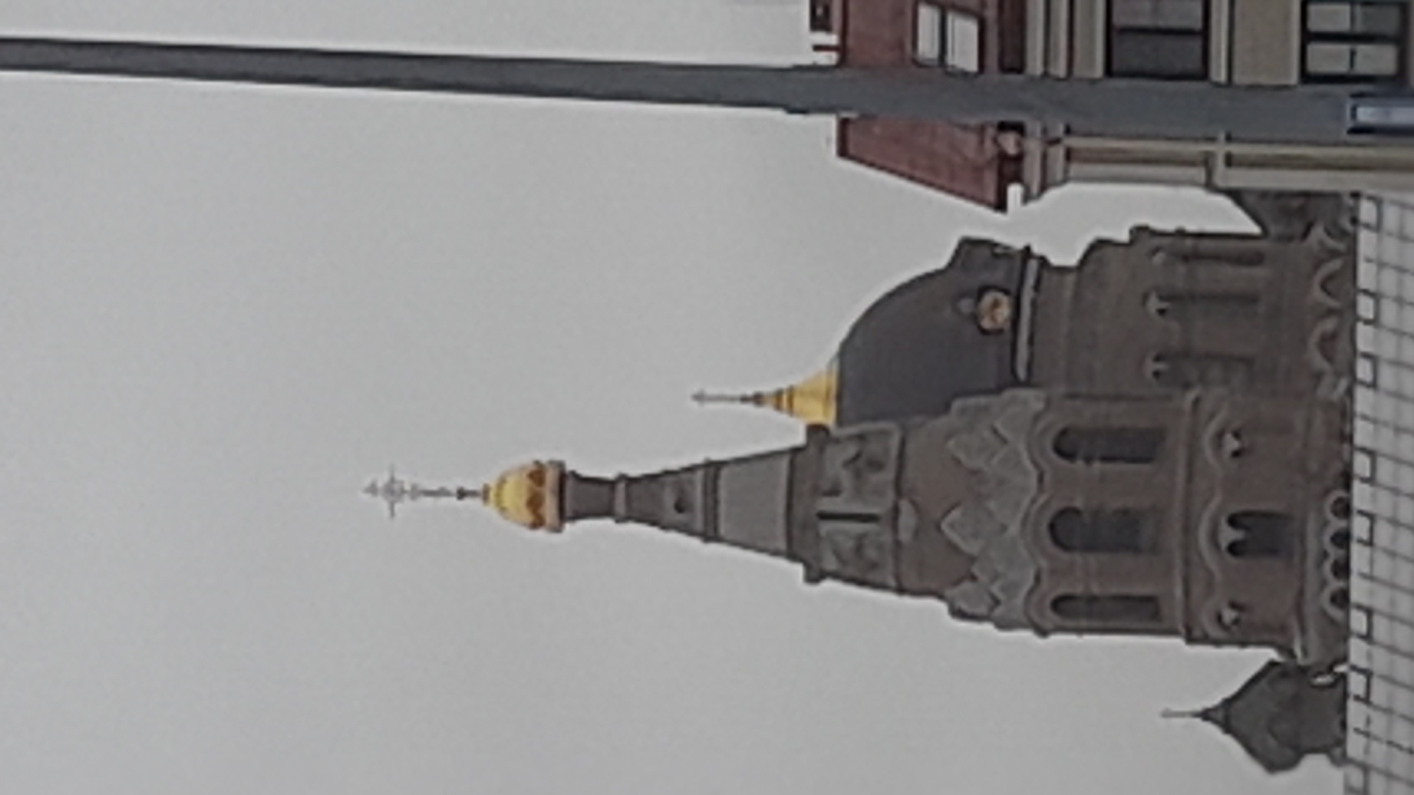 The image shows a close-up of the architectural details of the Saint Petersburg Mosque in Russia. The mosque features ornate stonework, pointed arches, and several domes capped with gold. The prominent dome is dark, while smaller domes exhibit a golden color. A cross-topped spire is also visible. The mosque's location is suggested by the surrounding buildings, visible in the upper part of the frame. The sky is overcast and gray, indicating a cloudy day. A utility wire or pole is running diagonally in the upper left corner of the image.