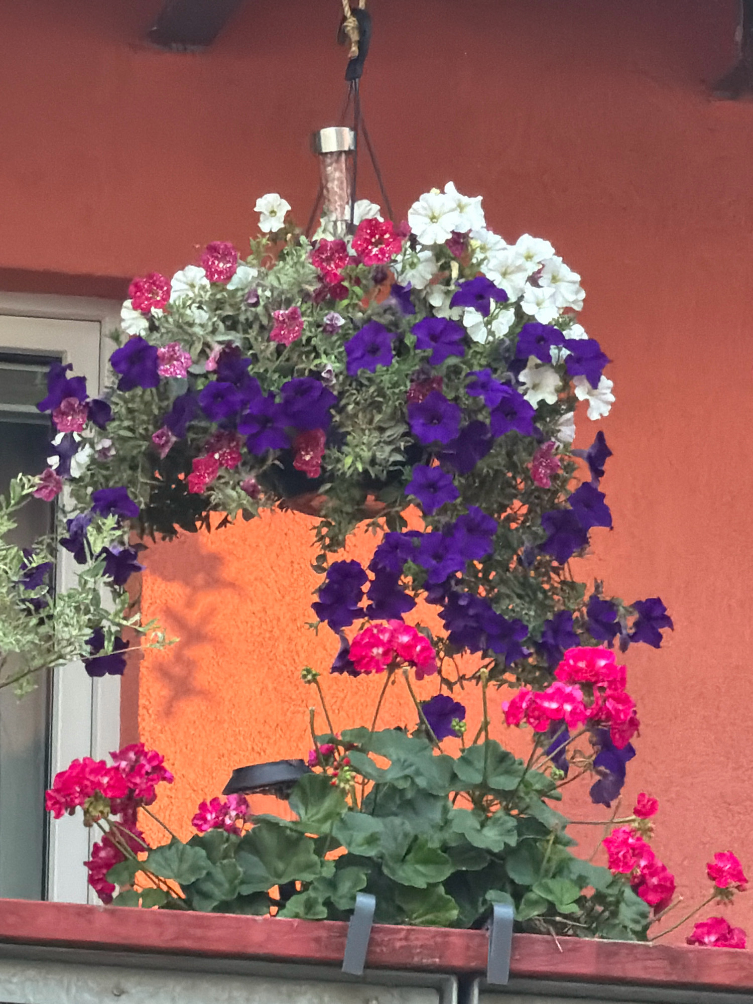 The image shows a close-up, eye-level, slightly tilted shot of a window box and a hanging basket overflowing with vibrant flowers against an orange textured wall. The window box in the foreground contains bright pink geraniums with large, lush green leaves. Behind and above, a hanging basket is filled with a dense arrangement of purple petunias, white petunias, and smaller pink flowers, some with speckles. A sliver of a white-framed window is visible to the left, and a dark overhang or roof element is at the top center of the frame. The scene appears to be an exterior shot, likely in a residential or commercial setting, with a focus on the colorful floral display. The location is identified as Koszalin, Poland, although no specific landmarks are visible in the image to confirm this definitively. There are no people or animals present in the frame.