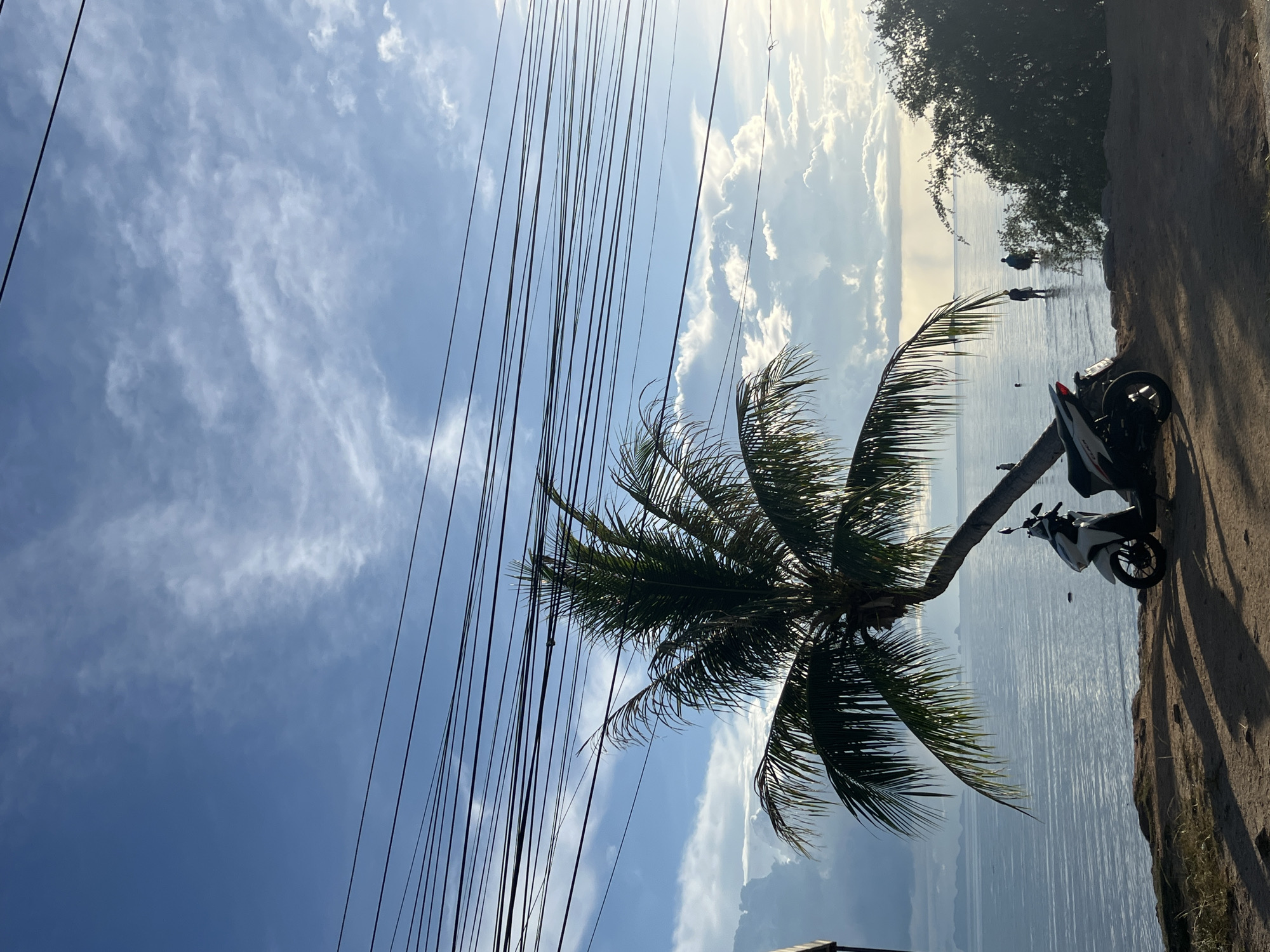 This is a vertical, low-angle shot of a tropical scene in Koh Phangan, Thailand, taken during daylight hours. The sky is a vibrant blue, dotted with wispy white clouds, suggesting fair weather. A dense network of black power lines crisscrosses the upper portion of the frame, creating a stark contrast with the natural elements.
In the foreground, a palm tree with lush green fronds leans precariously over a calm body of water, its trunk casting a shadow on the sandy ground beside it. Two motorcycles are parked near the palm tree, one white and black, the other mostly visible in silhouette.
The middle ground features the tranquil sea, reflecting the sky and distant landforms. Two figures are visible wading in the shallow water, suggesting a leisurely activity like swimming or exploring the shoreline. The overall mood is serene and relaxed, evoking a sense of tropical paradise. The scene is bathed in bright sunlight, indicating it's likely mid-morning or late afternoon.