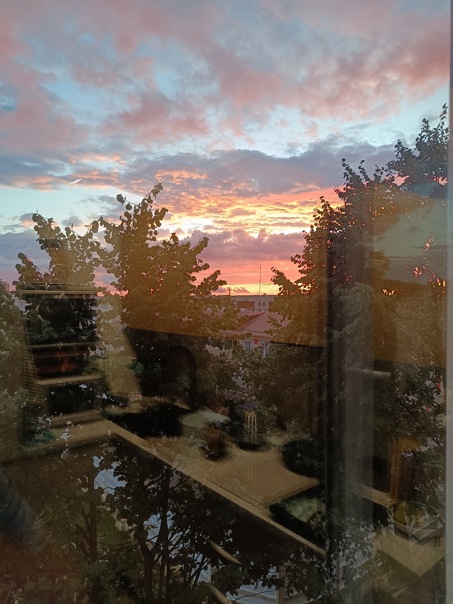 The image shows a view through a window in Cheboksary, Russia, at sunset. The sky is filled with dramatic clouds, painted in hues of pink, orange, and blue. The setting sun casts a warm glow over the scene. In the foreground, reflections on the window obscure some of the view, showing leaves of trees and parts of an interior. Beyond the window, buildings and trees are visible, along with a courtyard area with some greenery. The overall impression is one of a peaceful evening in an urban setting.