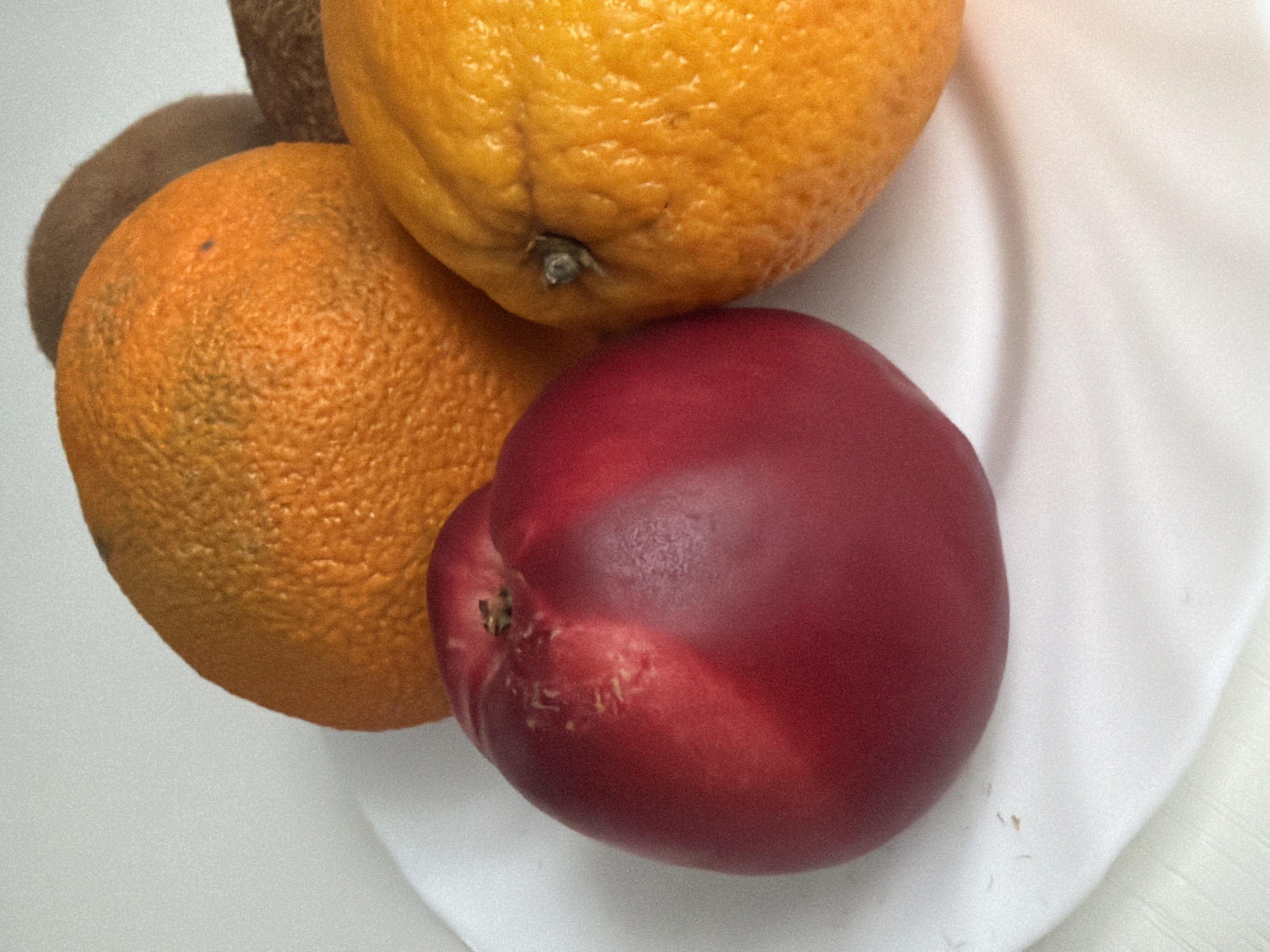 The image displays a close-up of a white plate with several fruits on it. The fruits are arranged in a cluster and appear to be on a white surface, possibly a tablecloth or countertop.
The subjects are a variety of fruits:
* Two oranges, one larger and positioned at the top of the plate, and another slightly smaller, to the left. Both have textured, bumpy skin typical of oranges.
* A dark red fruit, which appears to be a nectarine or plum, is placed in the foreground, partially overlapping the orange on the left. It has a smooth, shiny skin.
* Partially visible behind the top orange and the left orange are pieces of kiwi fruit. Their fuzzy brown skin is distinct.
The scene is a still life arrangement of fruit. There is no discernible activity or event taking place.
Notable details include the lighting which seems to be soft and diffused, suggesting an indoor setting, possibly during the day. The white plate has a slight sheen and the fabric underneath is white and textured, with soft folds and shadows. The colors are vibrant, with the bright orange of the oranges, the deep red of the nectarine, and the brown of the kiwi providing contrast against the white background. There is no visible text in the image. The location context of Kazan, Russia, does not provide any specific visual cues within the image itself.
