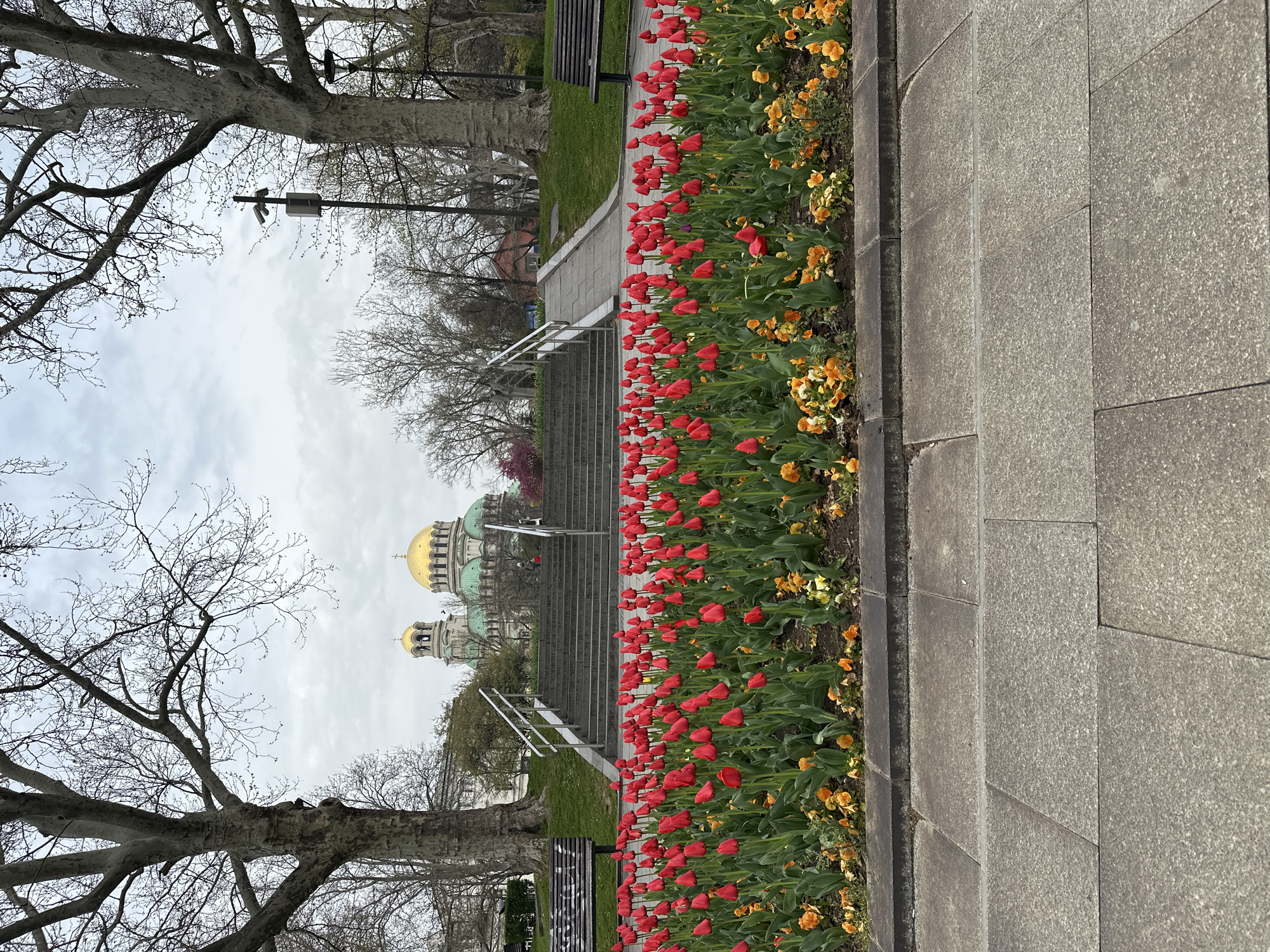 The image shows a pathway in a park in Sofia, Bulgaria, with a flowerbed containing red tulips and yellow pansies along its edge. The Alexander Nevsky Cathedral is visible in the background with its golden domes. Bare trees frame the view. A set of stairs with silver handrails leads up a gentle slope towards the cathedral. There are benches alongside the path. The weather appears overcast.