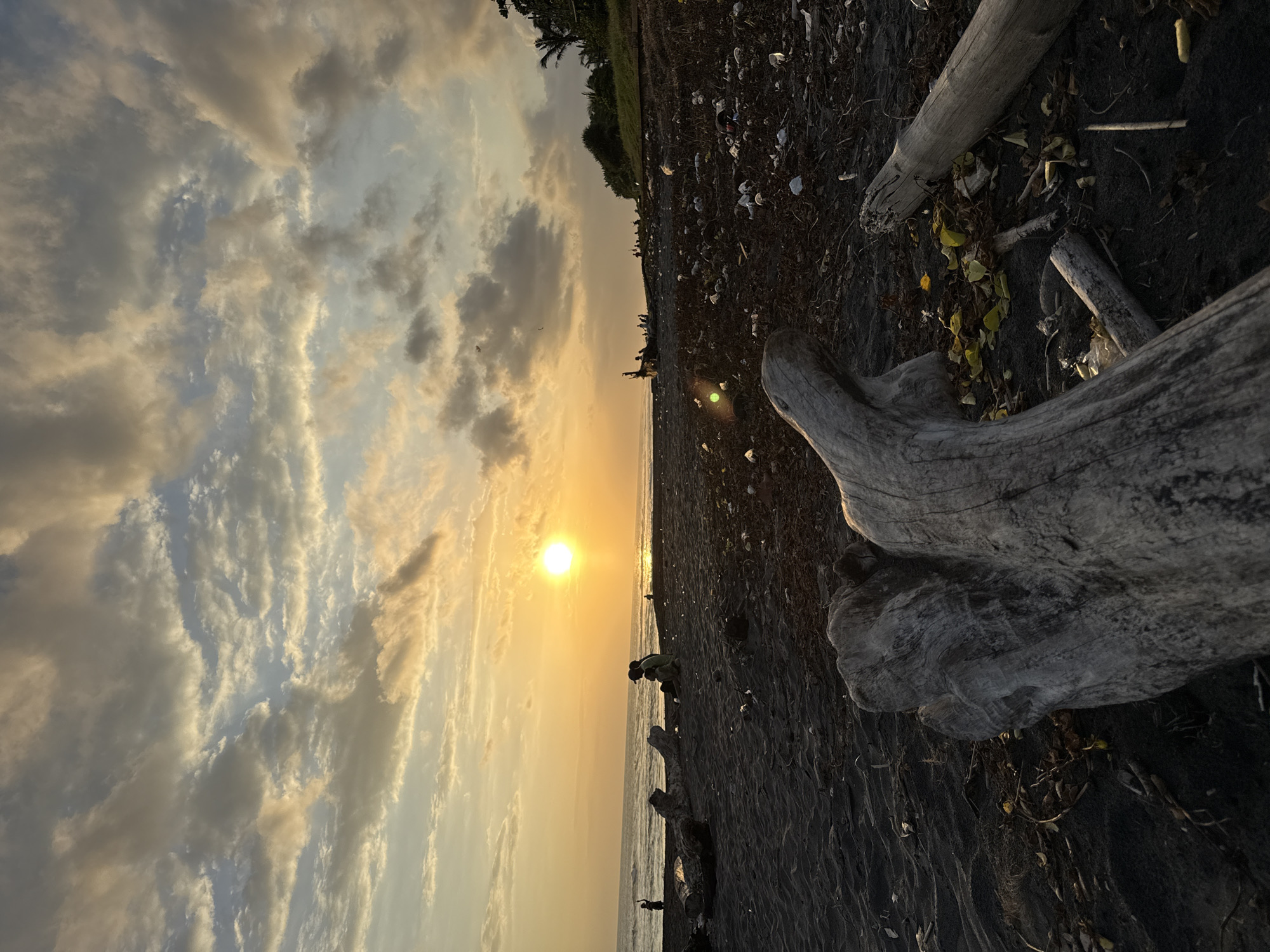 A sun sets over a dark, sandy beach in Unknown, Unknown. The sky is filled with light-colored clouds that are tinged with yellow from the setting sun. The beach is littered with debris, including large pieces of driftwood. People are scattered along the shoreline, some appearing to be collecting items. The overall environment suggests a remote and somewhat unkempt coastal location.