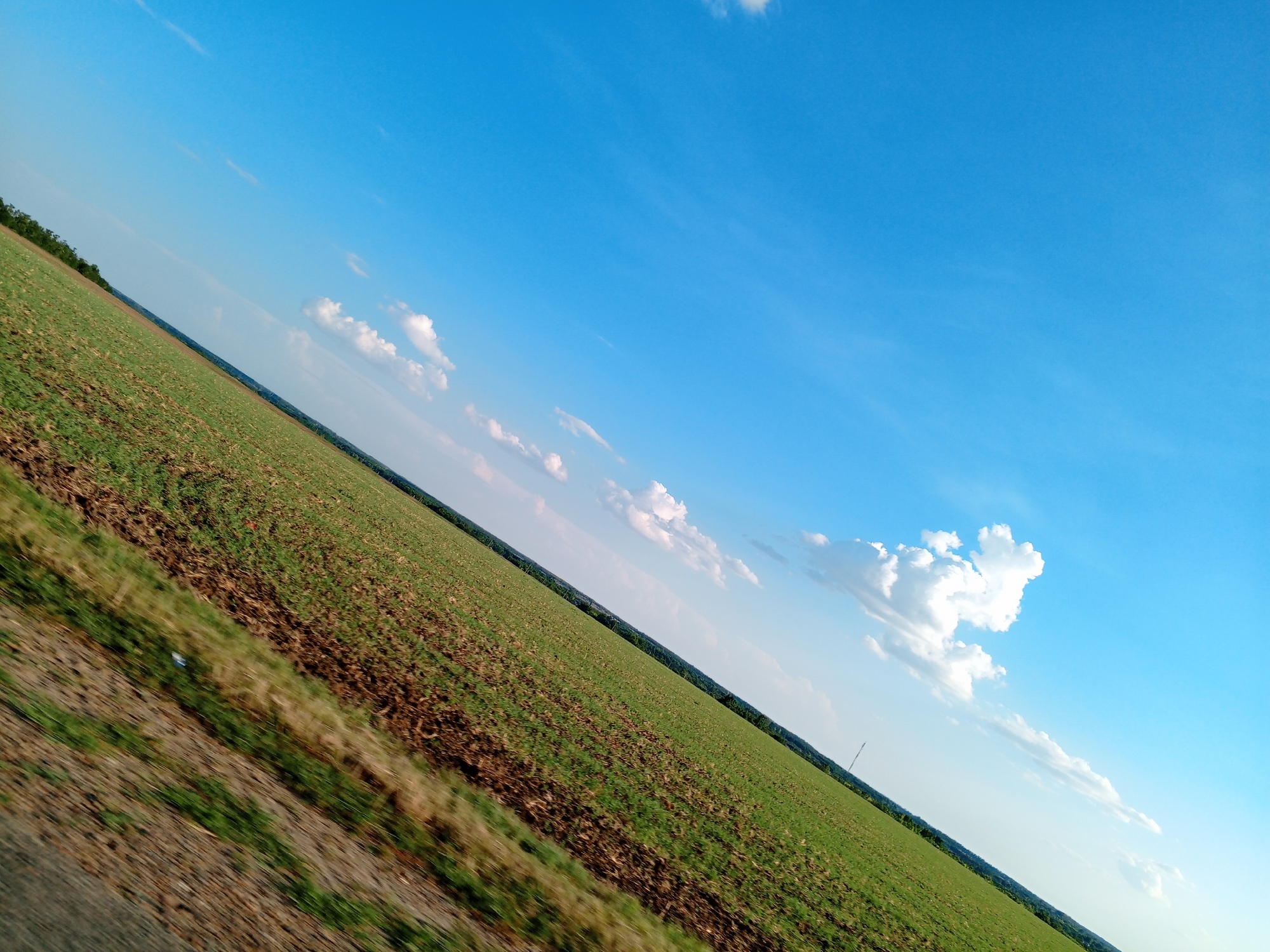 The image depicts a diagonal view of a vast, cultivated field under a bright blue sky with scattered white clouds. The field appears to be recently tilled in some sections, with dark brown earth interspersed with areas of green vegetation, possibly a young crop. The landscape stretches towards a distant treeline or horizon, beyond which the sky dominates the upper portion of the frame. The angle of the shot suggests it was taken from a moving vehicle, given the slight motion blur visible, particularly in the foreground where a dirt or gravel edge is present. The scene is devoid of any people or animals. The overall impression is one of open agricultural land bathed in natural light, characteristic of a rural setting. While the specific location in Novorozhdestvenskaya, Russia, cannot be definitively determined from the image alone, the scenery is consistent with agricultural landscapes found in such regions.