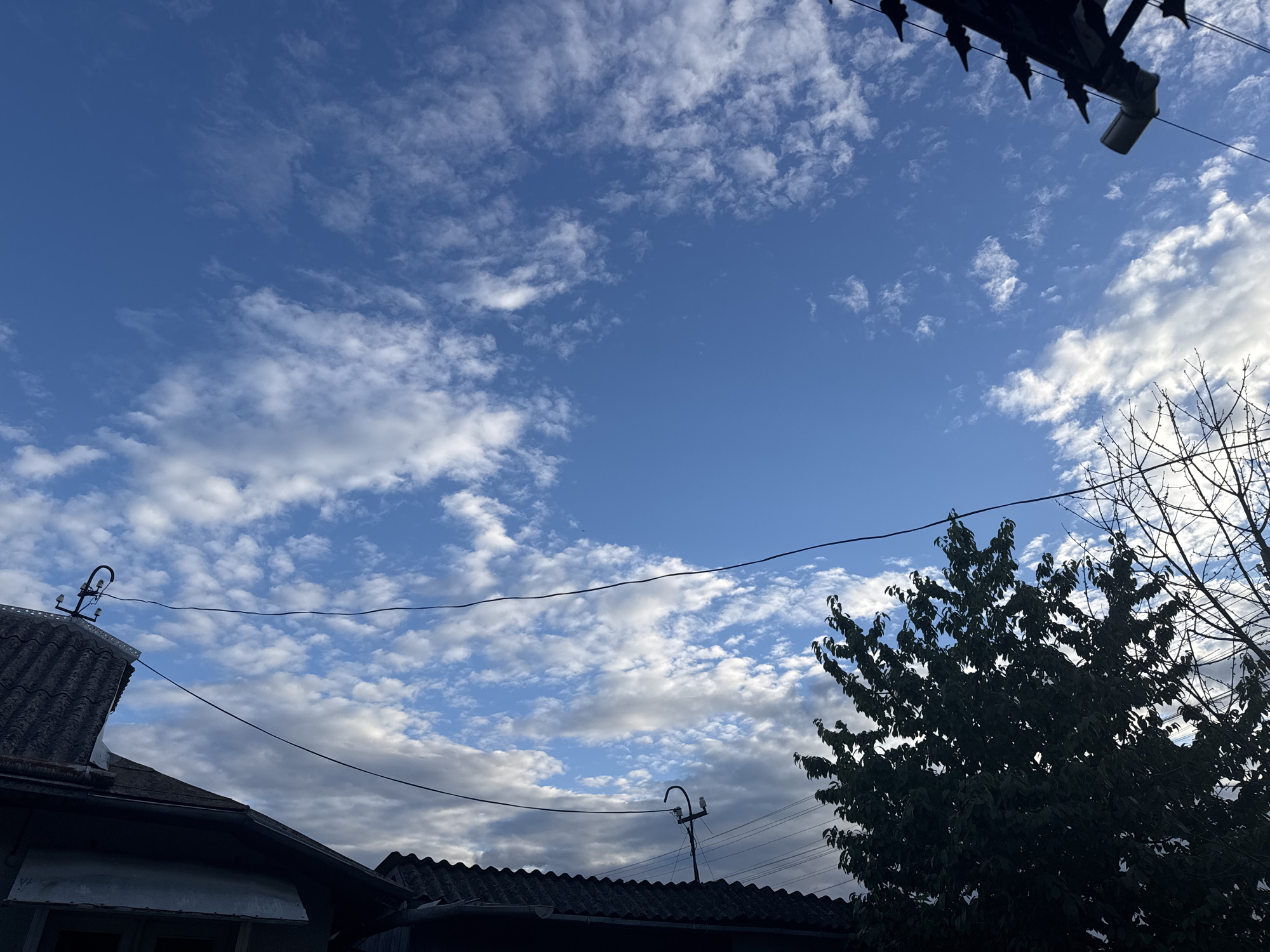 The image captures a view of the sky from a residential area. The sky is a vibrant blue, dotted with scattered white clouds. In the foreground, the roofs of houses are visible, along with power lines and a silhouetted tree. The overall impression is of an outdoor scene on a partly cloudy day in an urban or suburban setting. The specific location within the city of Unknown, Unknown is not discernible from the image. There are no people or animals present in the scene.