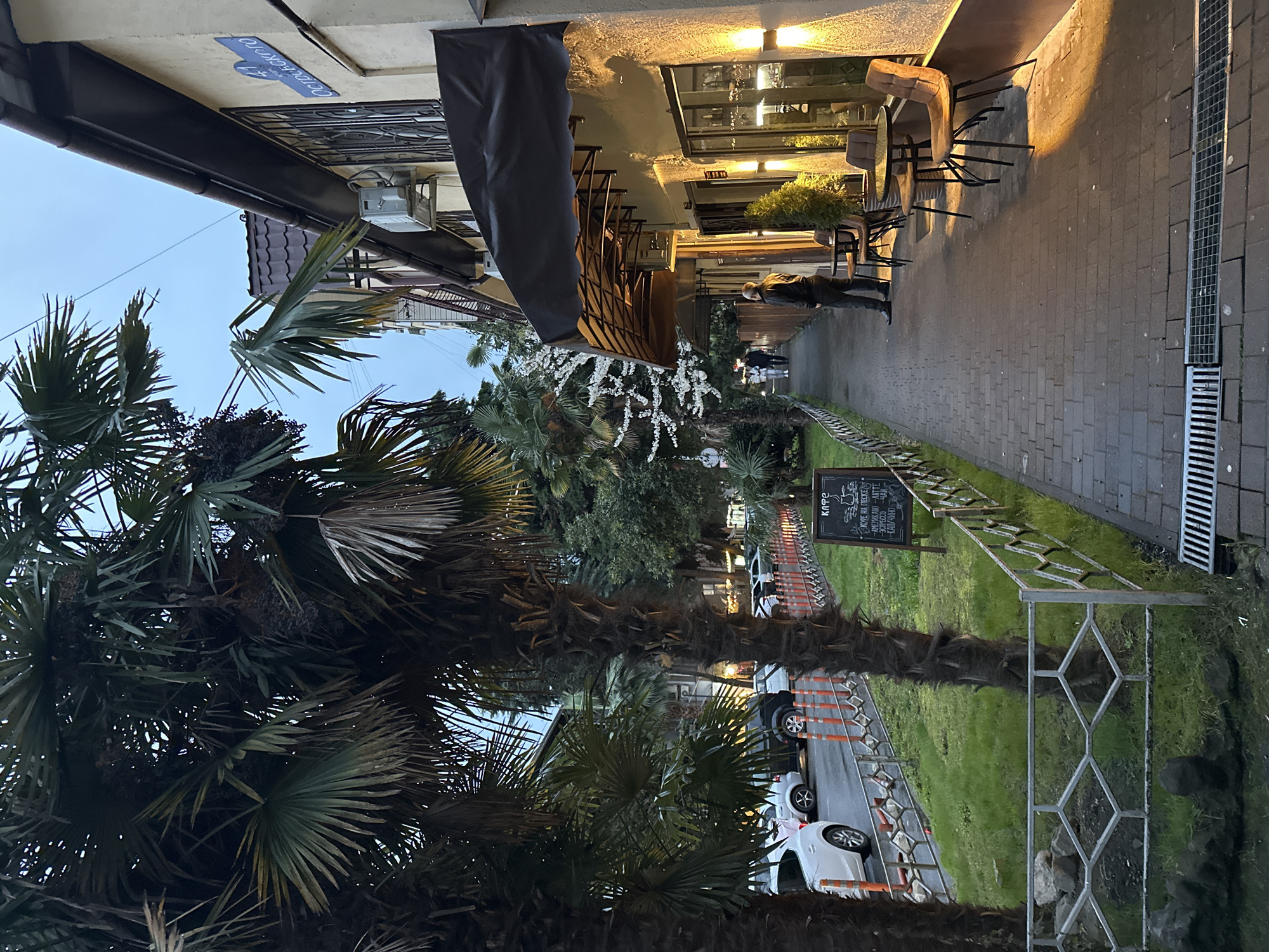 The image depicts a street scene in the city of Sochi, Russia. A person is walking along a brick sidewalk lined with trees, including palm trees. On the left, there is a building with an outdoor cafe area, with chairs and tables. A sign on the building reads "Островского, 17". On the right, there is a metal fence separating the sidewalk from a grassy area, where cars are parked on the street. A sign advertises "coffee and other drinks." The lighting suggests it is dusk or early evening.