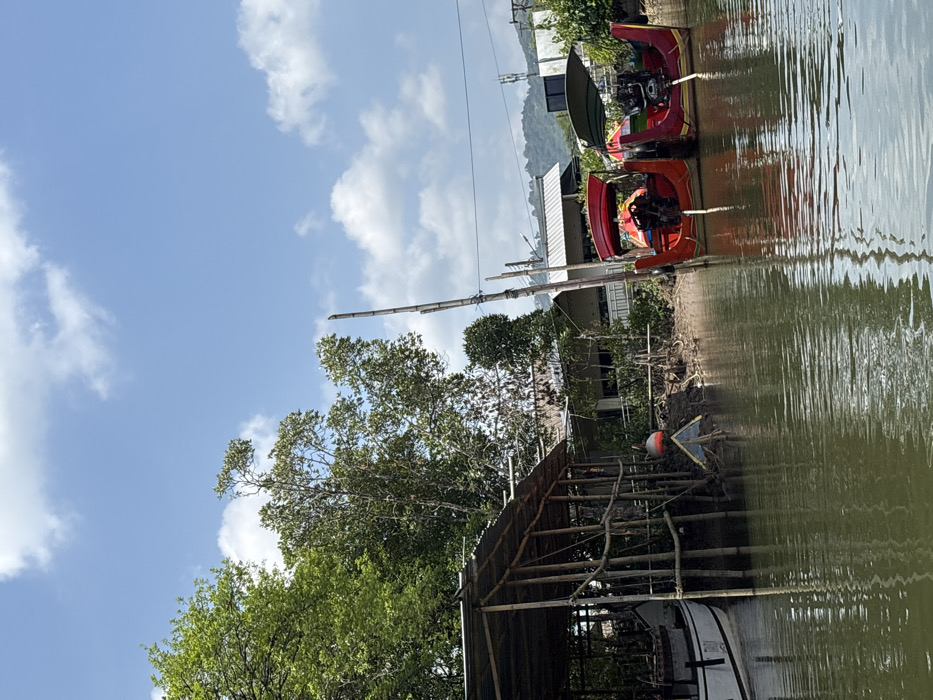 The image depicts a waterside scene in Takua Thung, Thailand, under a clear blue sky with scattered white cumulus clouds. In the foreground, a calm body of green-tinted water, likely a river or canal, extends across the lower half of the frame.
On the left side of the midground, a rudimentary, open-sided boathouse or shed stands along the muddy bank. It is constructed from numerous wooden poles and beams supporting a corrugated metal roof. A large, white-hulled boat with a dark stripe is partially visible, docked beneath this structure. Near the boathouse, a red and white buoy floats in the water, and a yellow triangular object is partially submerged near the bank.
To the right, two distinct longtail boats are moored side-by-side along the vegetated, muddy bank. Both vessels are primarily red with yellow accents and feature canopies (red on the left boat, green on the right). Each boat is equipped with a visible longtail engine assembly at the stern, including a propeller shaft extending rearward.
The background consists of dense green foliage and trees lining the banks, with several residential or commercial buildings featuring light-colored walls and dark roofs visible through and above the vegetation. Utility poles and wires are present in the middle distance. No individuals or discernible human activity are visible in the scene; all boats appear stationary and unoccupied.