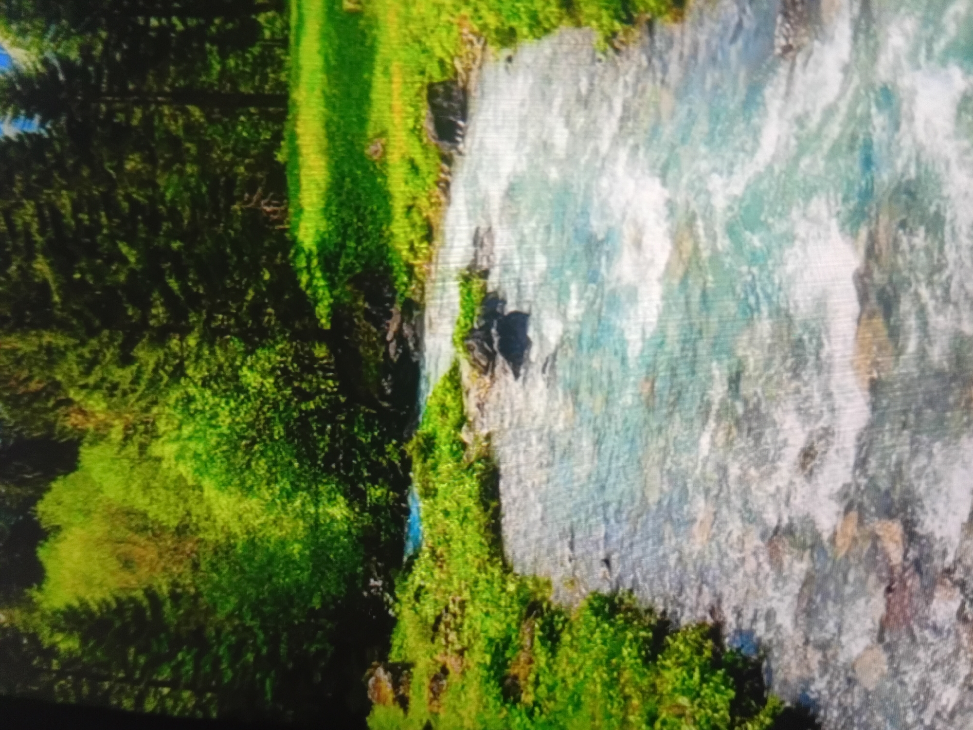 This is a scenic photograph of a clear, flowing river winding through a lush, green forest. The water is a bright turquoise and white, indicative of rapids and shallow areas. The riverbanks are lined with vibrant green foliage and dark, rocky outcrops. In the background, a dense forest of tall, dark green coniferous trees rises up, with some lighter green deciduous trees interspersed amongst them. The overall impression is one of a wild, untouched natural landscape. The image does not depict any elements that would place it specifically in the city of Verkhniachka, Ukraine; it is a generic natural scene. There are no people, animals, or man-made structures visible. The focus is entirely on the natural environment.