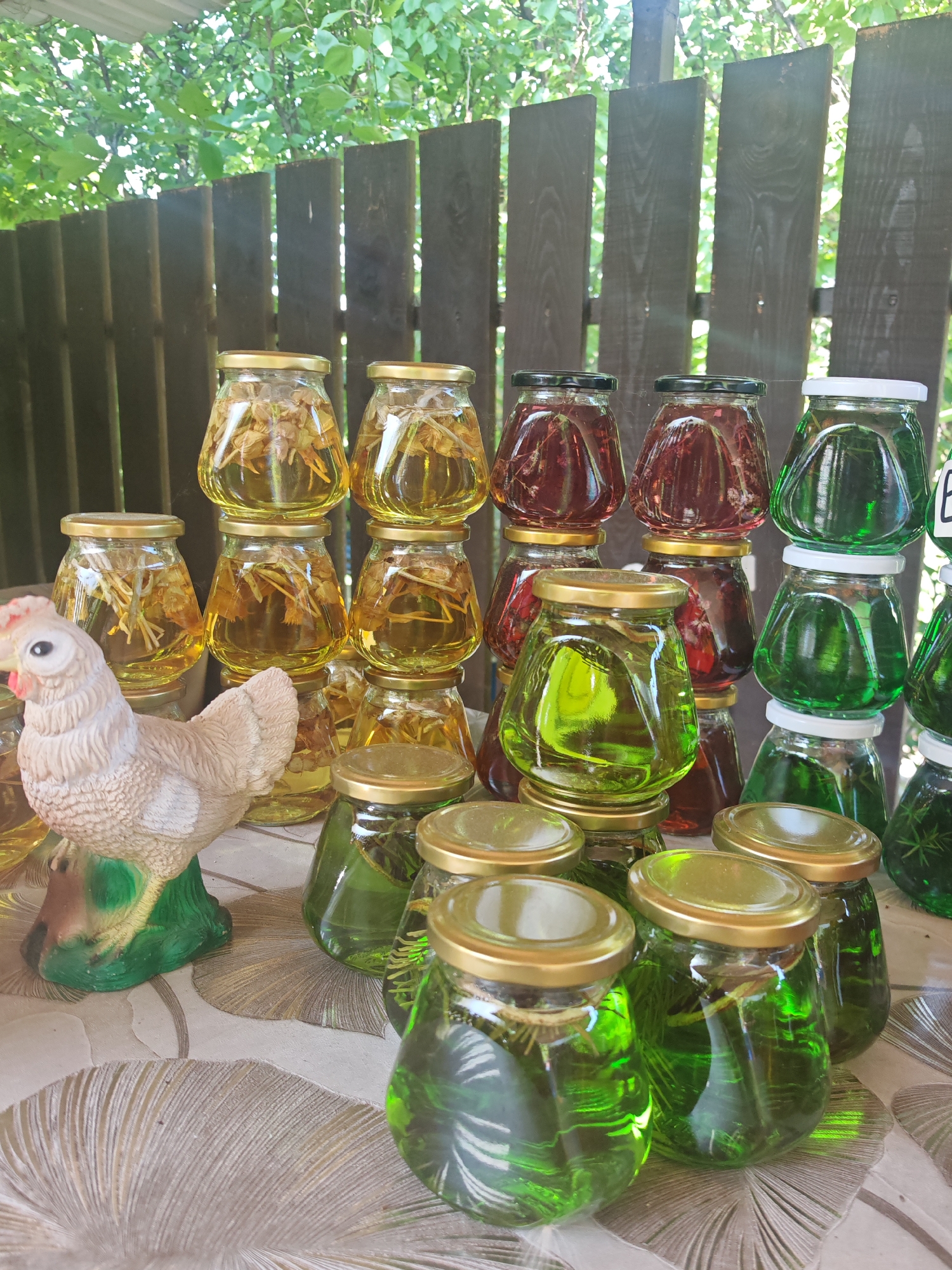 In Varvarovka, Russia, a rustic outdoor display features an assortment of glass jars filled with various liquids and plant matter, likely homemade preserves or tinctures. A decorative ceramic hen, painted white with a red comb and green base, sits to the left of the jars. The jars are of different sizes and colors, some containing a pale yellow liquid with dried plant material, others a deep red liquid, and several filled with a vibrant green liquid and green herbs. They are arranged in stacks on a table covered with a tablecloth featuring a large, light-colored fan or leaf pattern. Behind the table, a weathered wooden fence stands against a backdrop of lush green foliage, suggesting a garden or outdoor market setting. The lighting indicates it is daytime, with sunlight filtering through the leaves and casting shadows. There are no people or animals actively interacting with the displayed items.