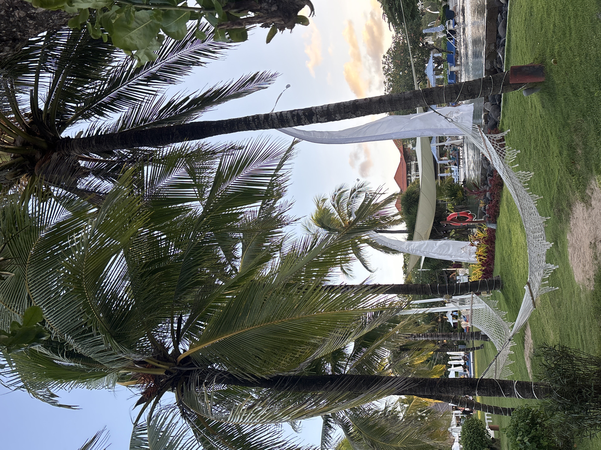 The image captures a scene in Kuta Selatan, Indonesia, featuring a tropical setting with palm trees. Several palm trees frame the image with their green fronds dominating the foreground. White fabric is draped between the trunks of the palm trees, possibly for decorative purposes. A hammock made of netting is slung between two trees. In the background, there is a glimpse of a building with an orange roof, people, and umbrellas, possibly indicating a resort or recreational area. The presence of green grass suggests a well-maintained lawn or garden. A body of water can be seen behind the lawn. The sky is visible through the palm fronds and white fabric, suggesting either sunrise or sunset.