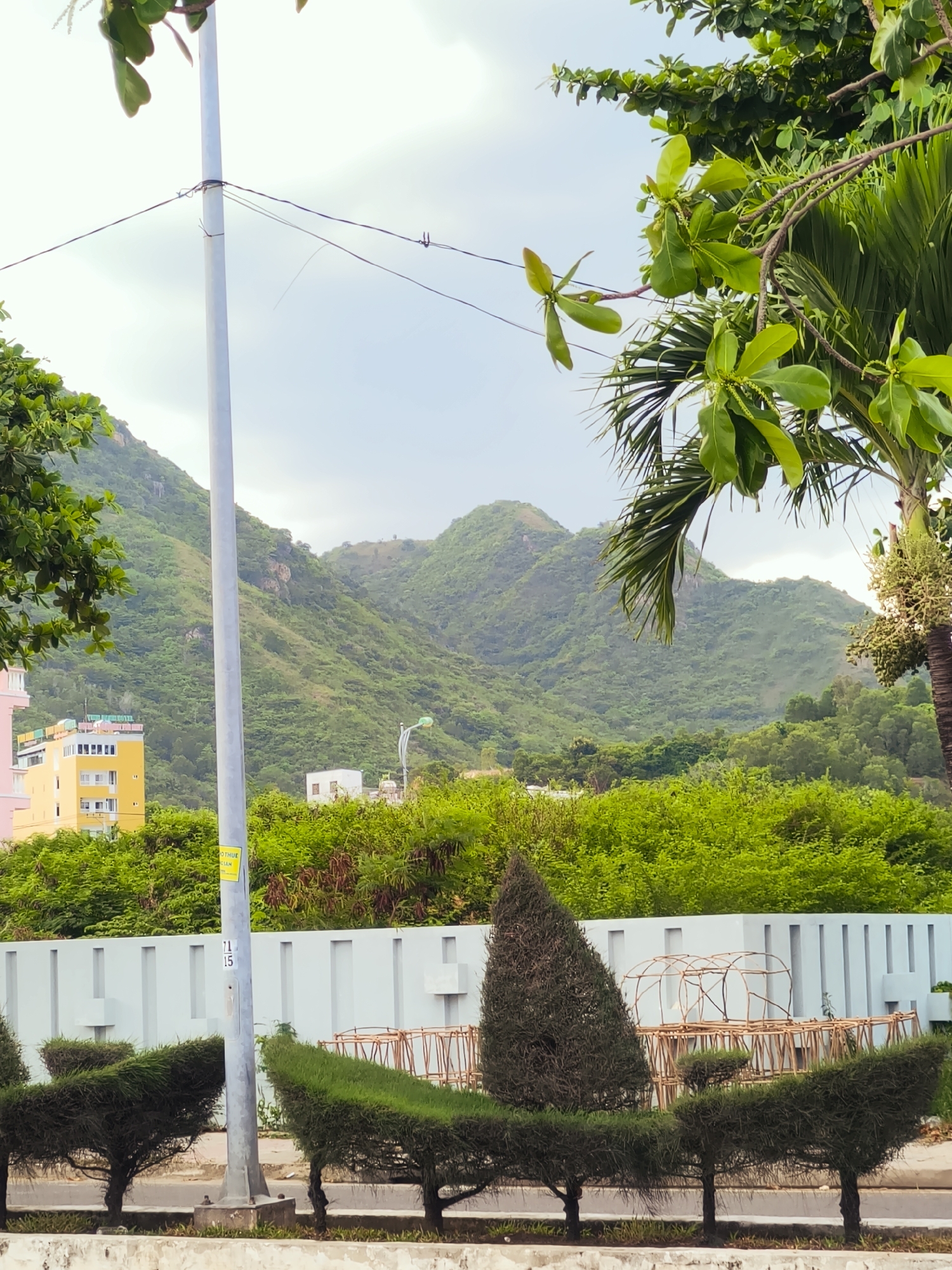 This is a vertical, eye-level, medium shot of a lush green mountainous landscape. The foreground features a light gray metal pole with wires attached, a light blue concrete wall with vertical slits, and manicured, dark green bushes trimmed into abstract shapes. Behind the wall, a dense layer of bright green foliage covers the lower slopes of the mountains.
In the mid-ground, a tall, yellow building with white-framed windows stands out against the greenery on the left side of the frame. Further in the distance, more buildings and structures are visible, interspersed with trees. The background is dominated by rolling, verdant mountains that stretch across the horizon. The sky is overcast with a light gray hue, suggesting a cloudy day.
The scene appears to be set in a tropical or subtropical location, given the abundant vegetation and palm fronds visible in the upper right corner. The overall impression is one of a serene, natural environment juxtaposed with human development.
There is some text on a yellow sticker on the pole. The visible text reads "THUE" and "UAN" with some numbers. The location context is provided as Nha Trang, Vietnam. No people are visible in the image. The overall mood is peaceful and natural, with a hint of urban presence.
