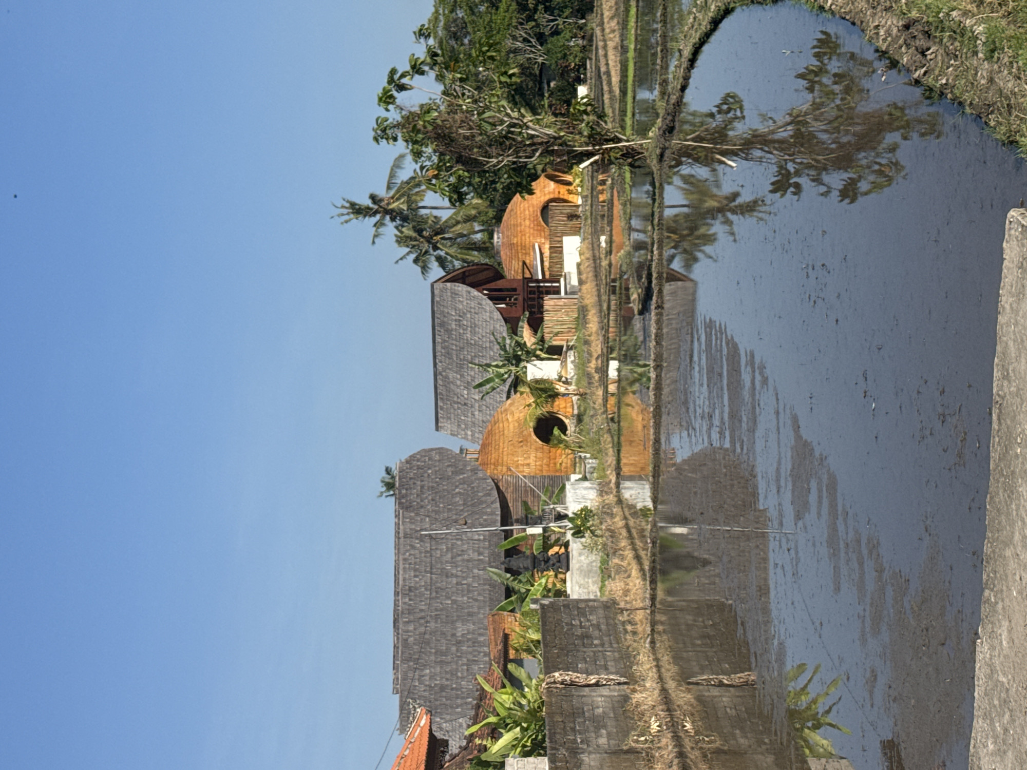 The image shows a rice paddy field in front of several buildings, with a clear blue sky overhead. The buildings appear to be made of natural materials, with thatched roofs and some round, dome-like structures. There are lush green plants and palm trees surrounding the buildings, suggesting a tropical or subtropical environment. The rice paddy is filled with water, reflecting the sky and the surrounding structures. A concrete pathway or edge is visible in the foreground. The overall scene is peaceful and rural, characteristic of areas like Mengwi, Indonesia, which is known for its rice fields and cultural sites. No people or animals are visible in the image.