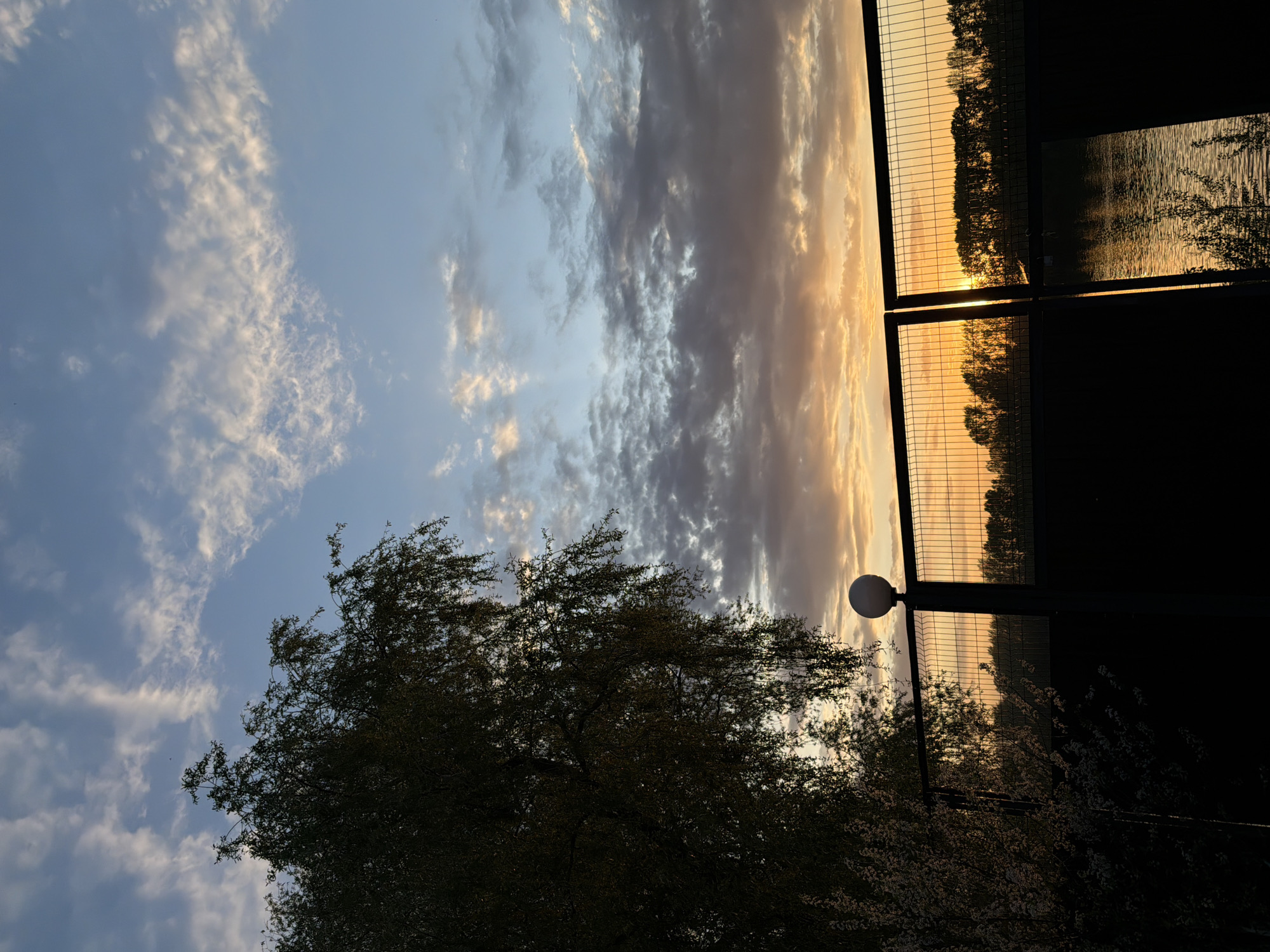 The image depicts a scene in Chaikovsky, Russia, at sunset. The sky is divided into sections of blue with white clouds and golden hues from the setting sun. A tall tree with dark foliage is silhouetted in the lower left corner of the image. To the right, a wire fence separates the foreground from a body of water, possibly a lake or river, reflecting the golden light. Behind the fence, a line of trees stretches across the horizon. A street lamp with a spherical white globe is also visible near the fence. The overall impression is one of dusk or sunset near a waterfront area.