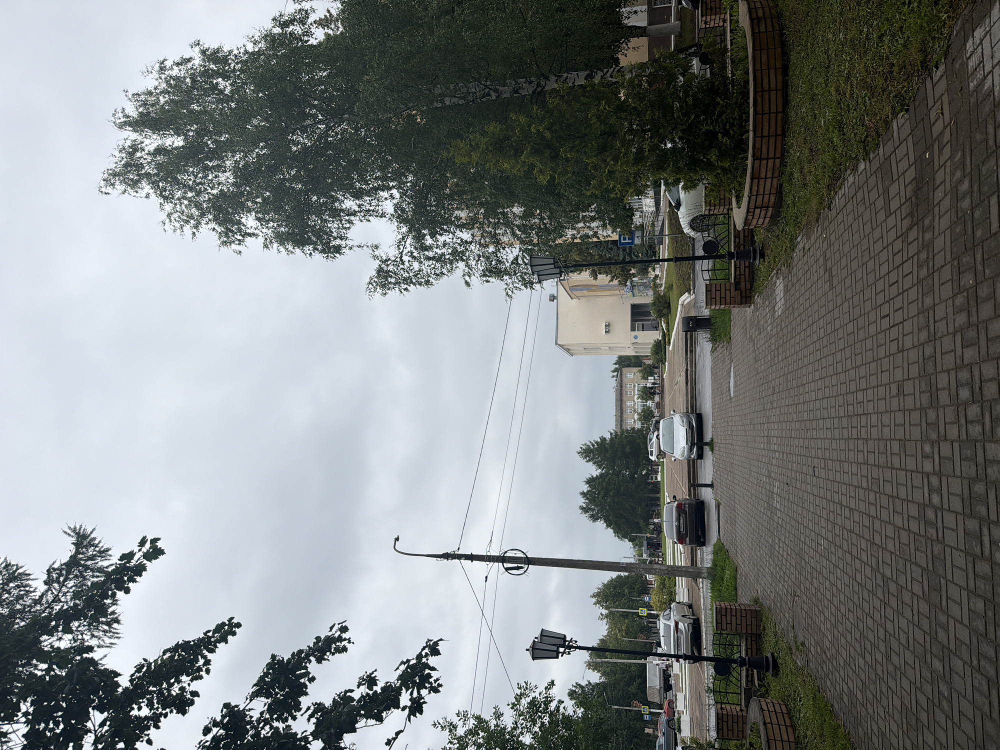This is a medium-shot, eye-level, vertical video of a street scene in Chaikovsky, Russia. The overcast sky suggests it is either early morning or late afternoon. The weather appears to be damp, with the paving stones on the sidewalk wet, indicating recent rain or ongoing drizzle.
The scene is an urban street with a paved sidewalk running along the right side of the frame. A lush green lawn borders the sidewalk, and behind it, trees with dark green foliage line the street. A few cars are parked along the street on the left side of the frame. In the background, there are several multi-story apartment buildings.
Streetlights are visible along the sidewalk. There are also power lines running across the frame. A metal sign with a blue background and white "P" symbol, indicating parking, is visible near one of the lampposts. Decorative brick planters with benches are placed along the sidewalk, adding a touch of aesthetic detail.
No people are clearly visible in the frame. The overall mood is calm and somewhat somber due to the cloudy weather. The focus is on the streetscape and the surrounding greenery, with a hint of urban life suggested by the buildings and parked cars. The scene is devoid of any specific event taking place; it depicts a typical, quiet street on a cloudy day. There is no discernible text other than the parking sign.