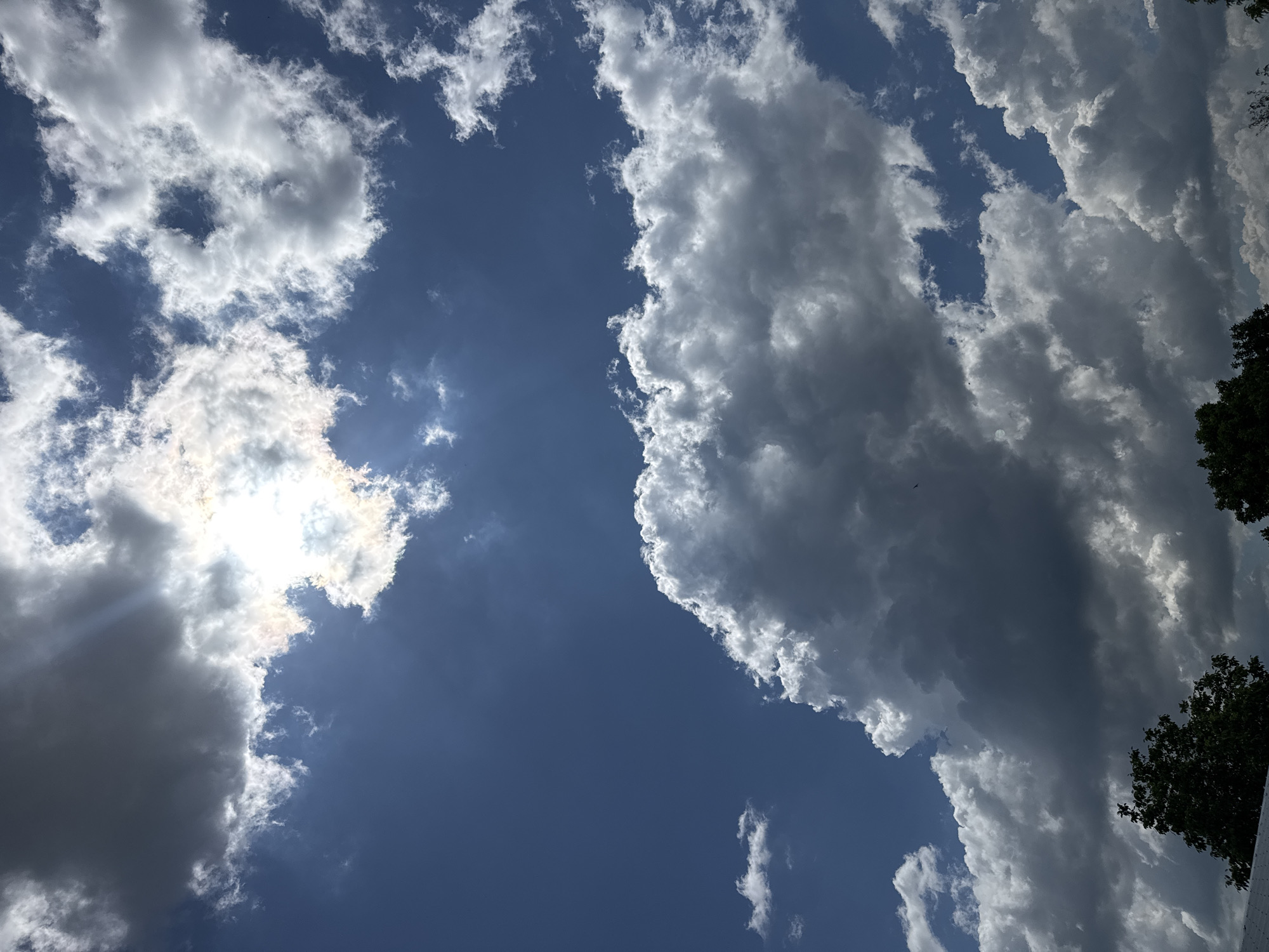 The image shows a daytime view of the sky, predominantly blue with patches of white cumulus clouds. The sun is partially obscured by clouds on the left side of the image, creating a bright glare. A few green leaves are visible in the right edge of the image, possibly indicating the presence of trees. The location and specific details about the city of Sarnevo, Bulgaria, are not discernible from this image.