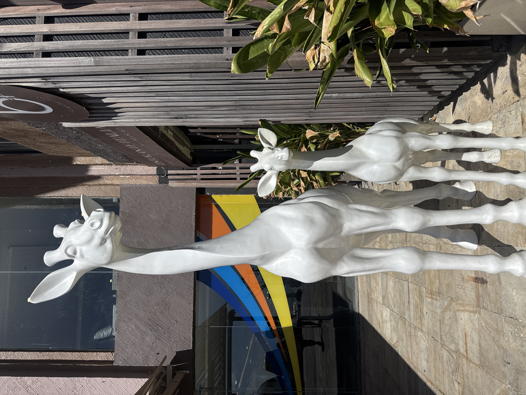 Two white giraffe sculptures stand on a stone-tiled surface outside a building with a large glass window featuring a multi-colored design in Kuta, Indonesia. The front giraffe faces left, its head raised, while the second one is slightly behind and to the right. Overhead, there's some foliage and a wooden structure with slats. Shadows are cast on the ground.