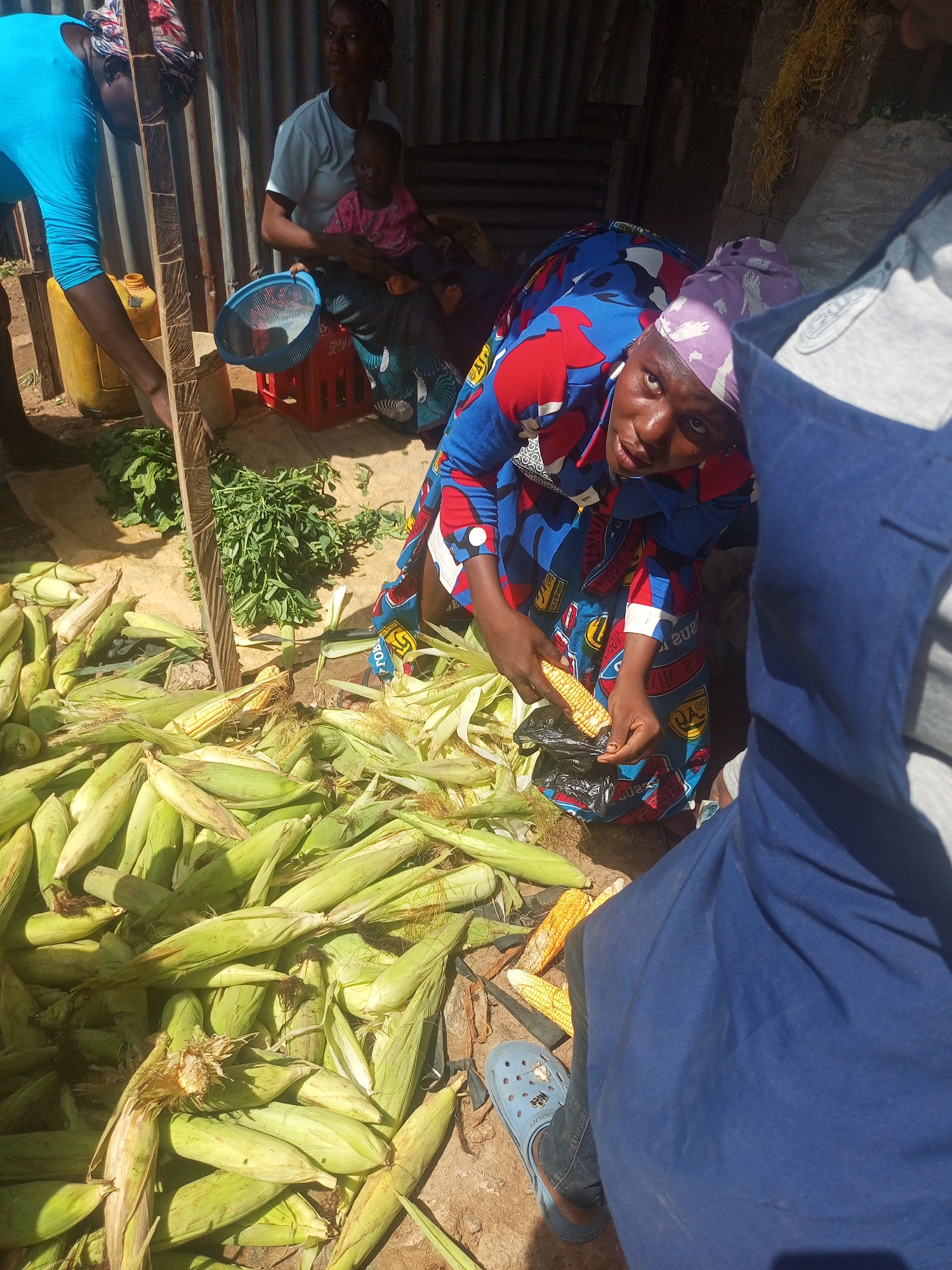 In Sabon Tasha, Nigeria, a woman in a blue, red, and white patterned dress and purple headscarf examines an ear of corn, holding it over a black plastic bag. She is surrounded by a large pile of corn on the cob, still in their green husks. To her right, a person wearing a blue shirt and blue Crocs stands nearby. In the background, another woman sits holding a small child, and a third person is bending over a collection of green leafy vegetables. A yellow jerrycan and a red crate holding a blue plastic bowl are also visible. The scene appears to be an outdoor market stall, with corrugated metal visible in the background.