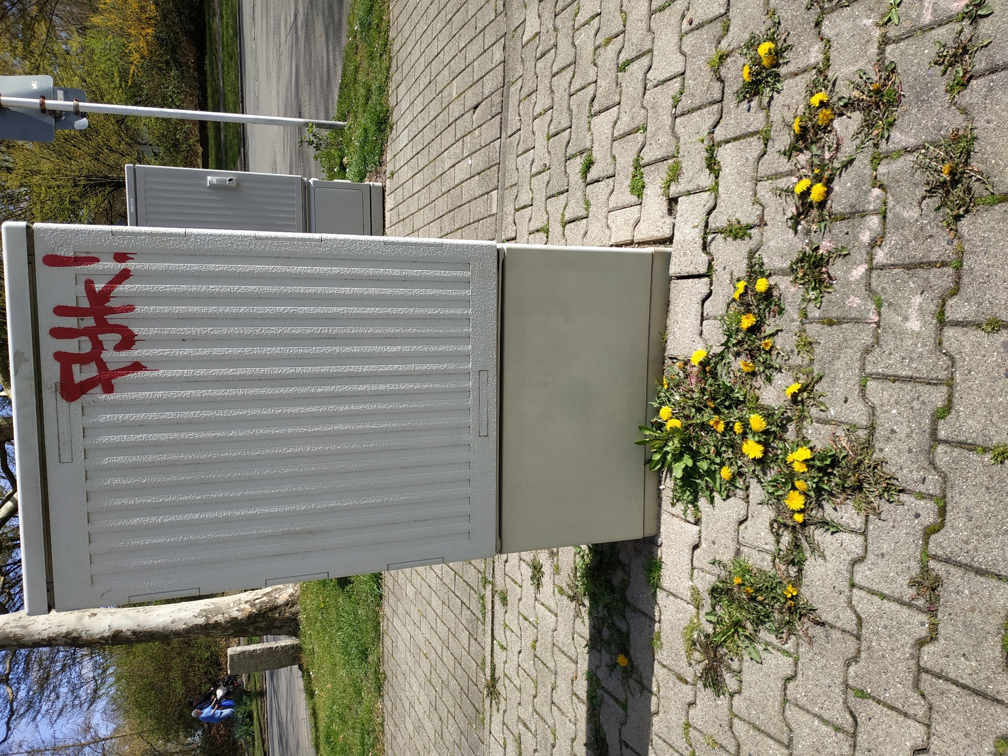 A ground-level, outdoor shot captures a sidewalk scene, likely in an urban setting, during daylight. The sidewalk is constructed of interlocking gray pavers, with yellow dandelions growing in the cracks. A large, rectangular, industrial-looking utility box sits to the left. The box is primarily light gray with a textured surface, and red graffiti is scrawled on the upper left portion. The background features a road or street with trees and vegetation bordering the edges. Two people sitting on a nearby bench can be seen in the corner of the picture.
The location is speculated to be Dortmund, Germany.