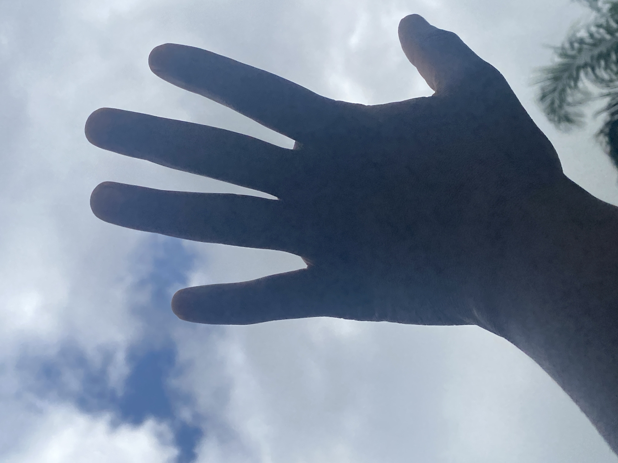 An upward-facing silhouette of a hand against a cloudy sky. The fingers are spread open. In the lower right corner, the top of some palm fronds is visible, suggesting an outdoor environment. The image does not contain any identifiable elements or context that would allow for the determination of a specific location in Maigizo, Nigeria.
