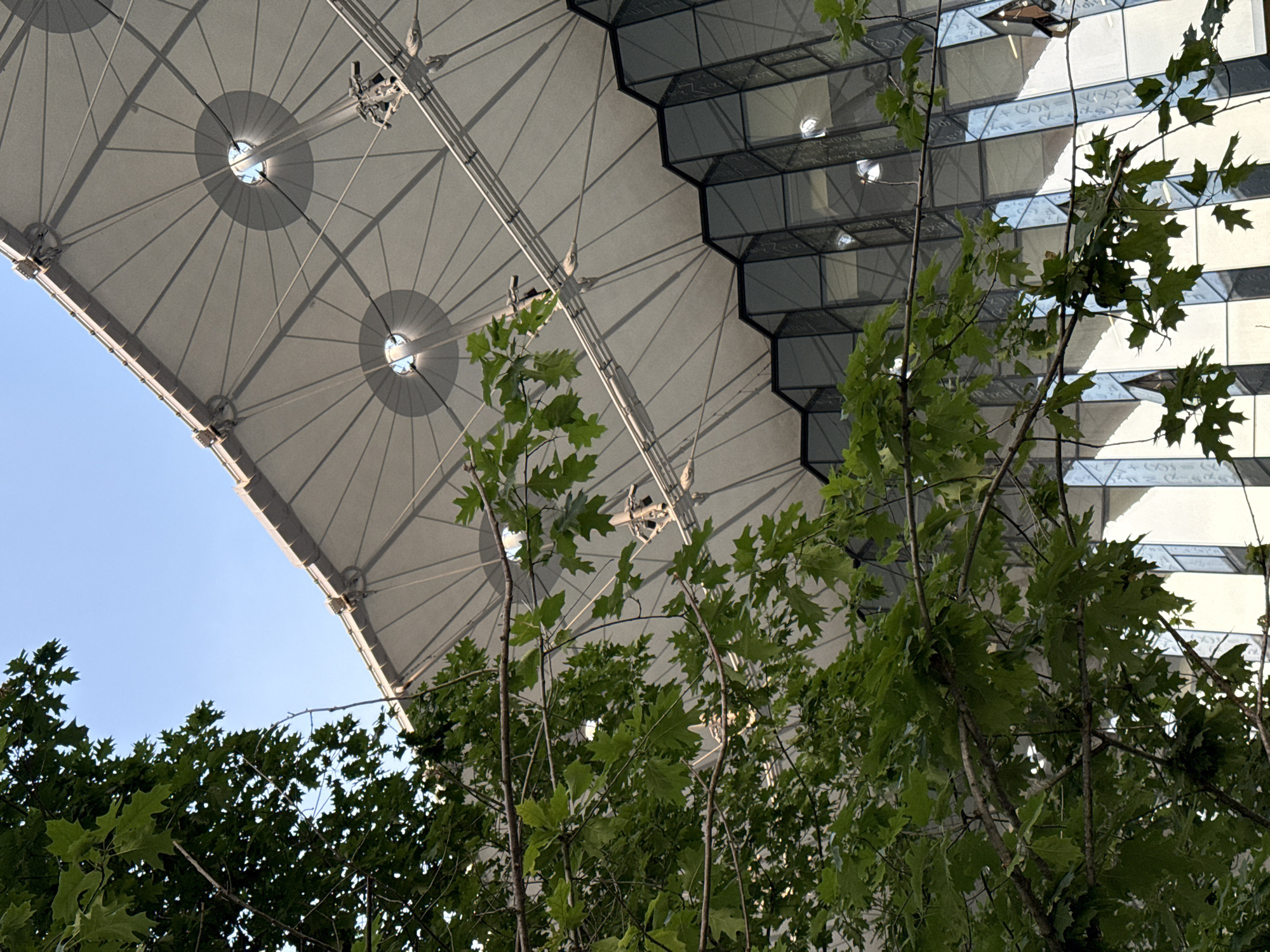 The image shows a low-angle view of the roof of the Moscow State Circus building. The roof is a large, white, tensioned fabric structure with circular skylights. The facade of the building below the roof is made of glass panels arranged in a faceted pattern. Green tree branches with oak leaves are in the foreground, partially obscuring the view of the building. The sky above is clear and blue. The lighting suggests it is daytime. No people are visible in the image.