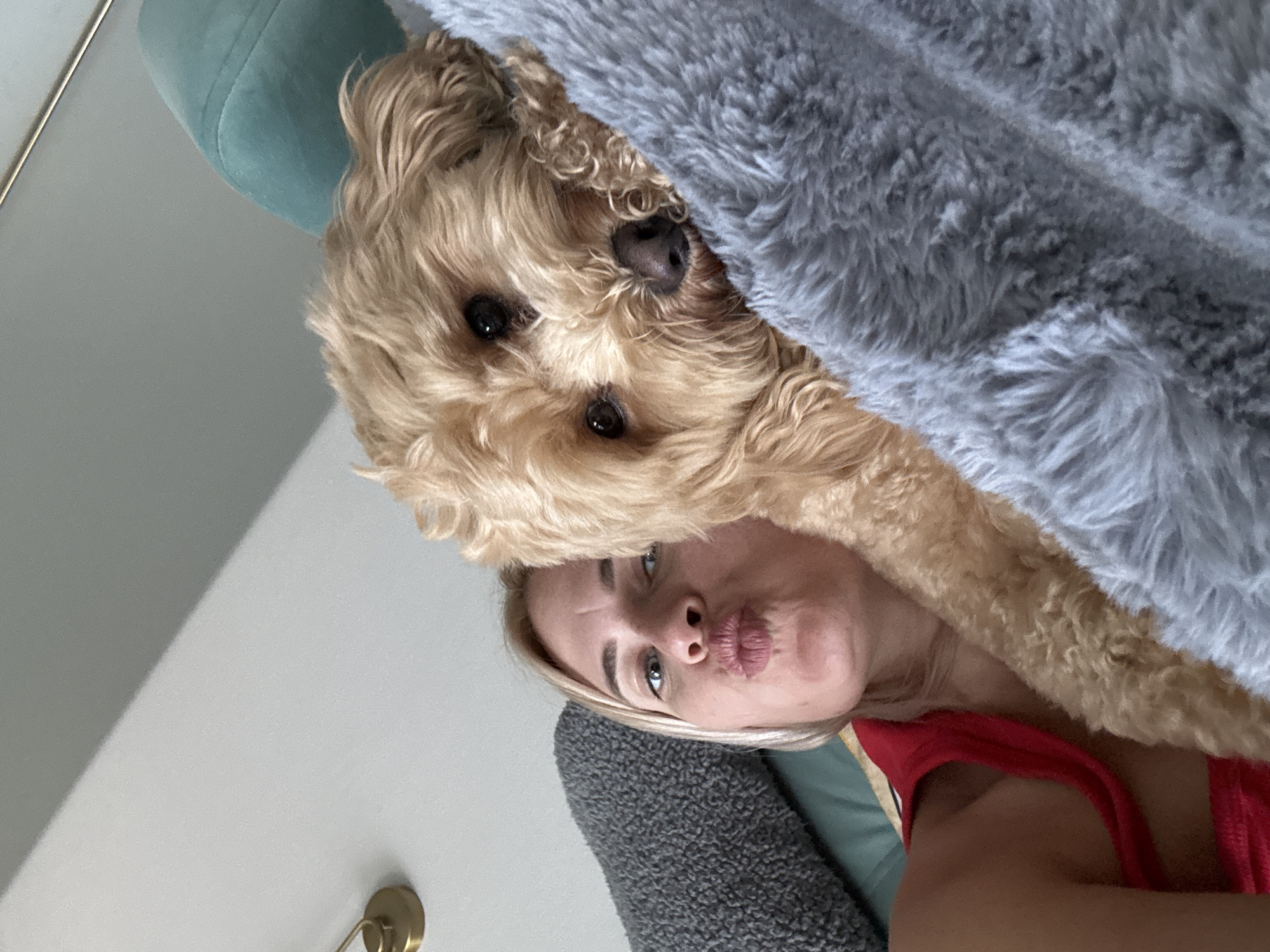 A close-up, tilted indoor photograph captures a cozy moment between a blonde woman and a small, fluffy dog. The woman, wearing a red top, is positioned beneath the dog in the frame and makes a playful "kissy face" expression with puckered lips, looking towards the viewer with blue-green eyes.
The dog, likely a doodle breed with light brown, curly fur, rests its head near the woman's head. Its dark eyes are clearly visible, while its nose and part of its face are partially covered by a soft, grey, furry blanket. Another dark grey, textured fabric is visible beneath the woman, possibly a cushion or throw.
In the background, a teal or light green upholstered surface, possibly part of a sofa or chair, is visible, along with a bright, light-colored wall or ceiling. A small, brass-colored fixture is partially seen in the bottom left corner of the frame. The lighting suggests a daytime setting. The overall mood is affectionate and relaxed, highlighting the bond between the pet and its owner in what appears to be a comfortable home environment. No text is visible in the image.