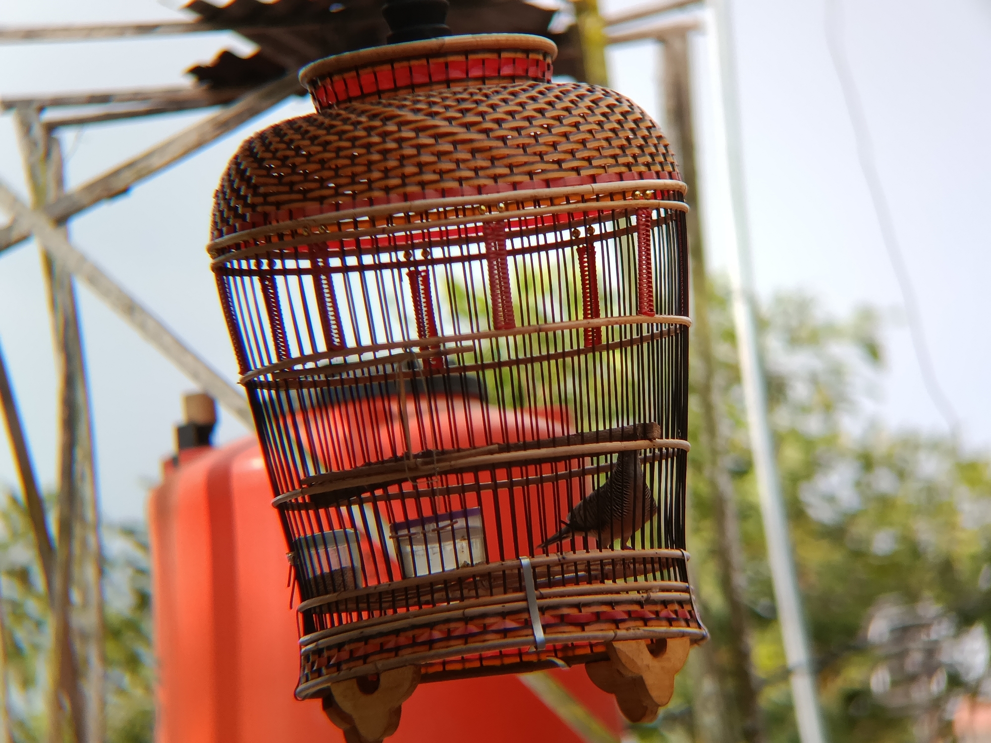 A low-angle, medium shot captures a wicker bird cage hanging outdoors, with a bird inside. The cage is made of woven bamboo, with red accents at the top and bottom. Vertical black bars form the sides of the cage, and inside, a small brown bird with striped plumage is perched on a wooden dowel. Two transparent containers, likely for food and water, are visible within the cage. Behind the cage, a large, bright orange water tank is prominently featured, with blurred green foliage and trees suggesting an outdoor, possibly rural or semi-urban environment. The background also shows wooden beams and a corrugated metal roof structure, indicating some form of shelter or scaffolding. The sky is overcast and bright white. The image does not contain any people. This scene appears to be in Sarwadadi, Indonesia, given the context of the request.