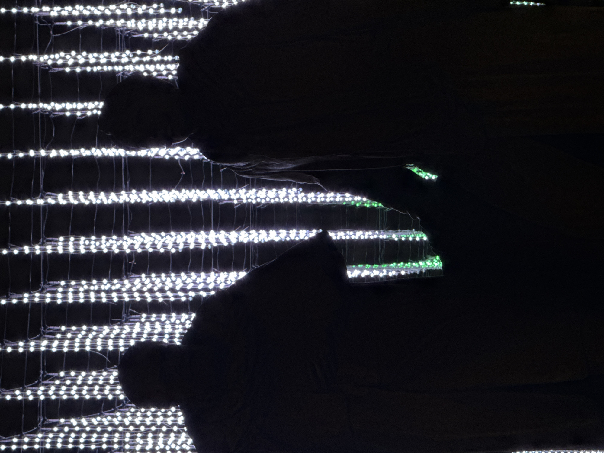 The image shows a scene likely at night in an urban environment, possibly Moscow, Russia, given the prompt context. The primary visual elements include rows of small white LED lights arranged in a grid or mesh pattern. In the foreground, two dark, silhouetted figures, potentially human, obscure a portion of the lights. The figures appear to be standing or kneeling, with their forms only vaguely discernible due to the backlighting. Some of the lights interspersed with the white lights are emitting a green glow.