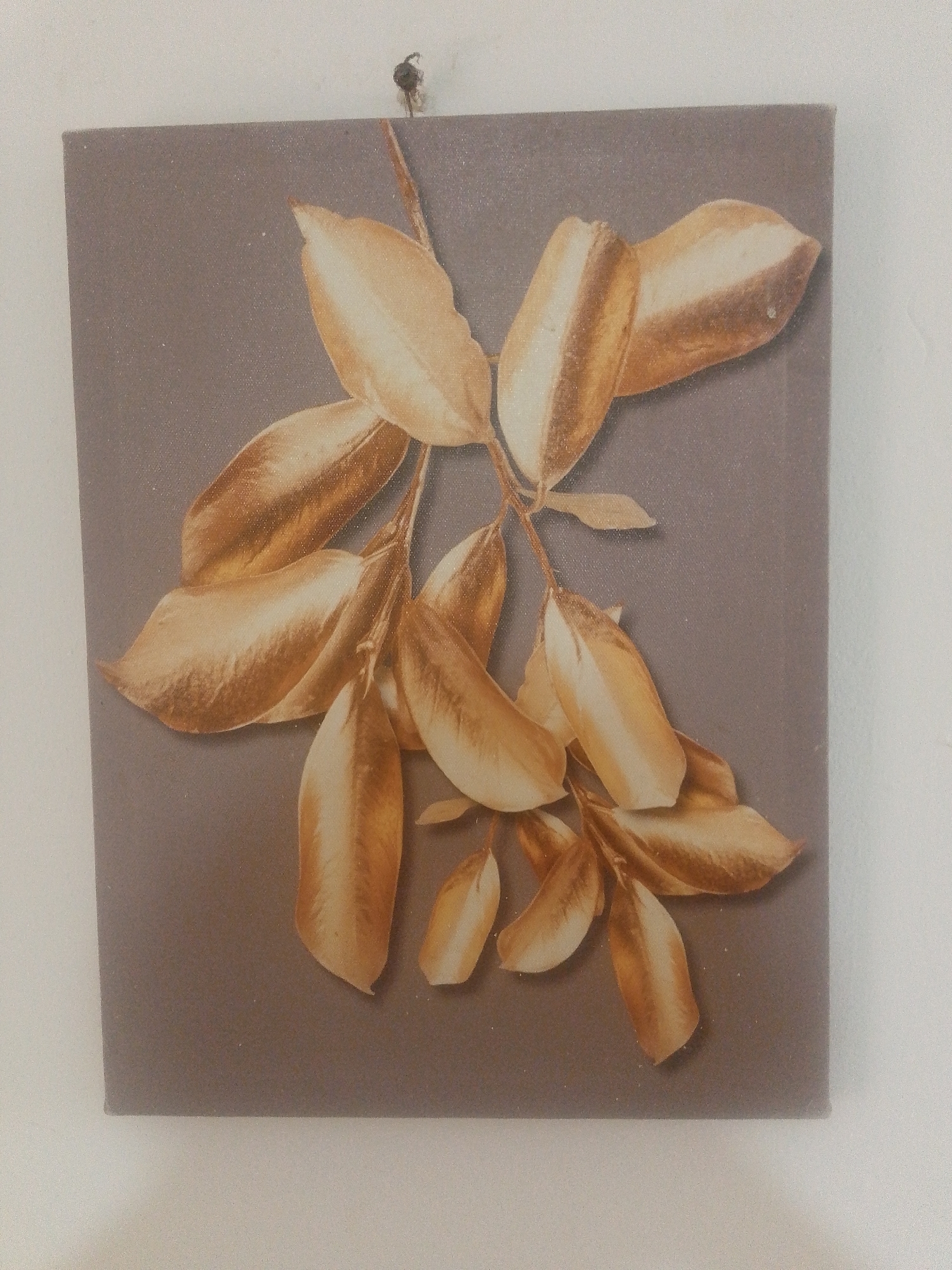 The image shows a framed canvas art piece depicting golden leaves on a grey background. The canvas is hanging on a white wall, secured by a small nail visible at the top center. The lighting in the scene is diffuse, casting soft shadows. There is no visible indication of the city of La Tagua, Venezuela, within the image itself.