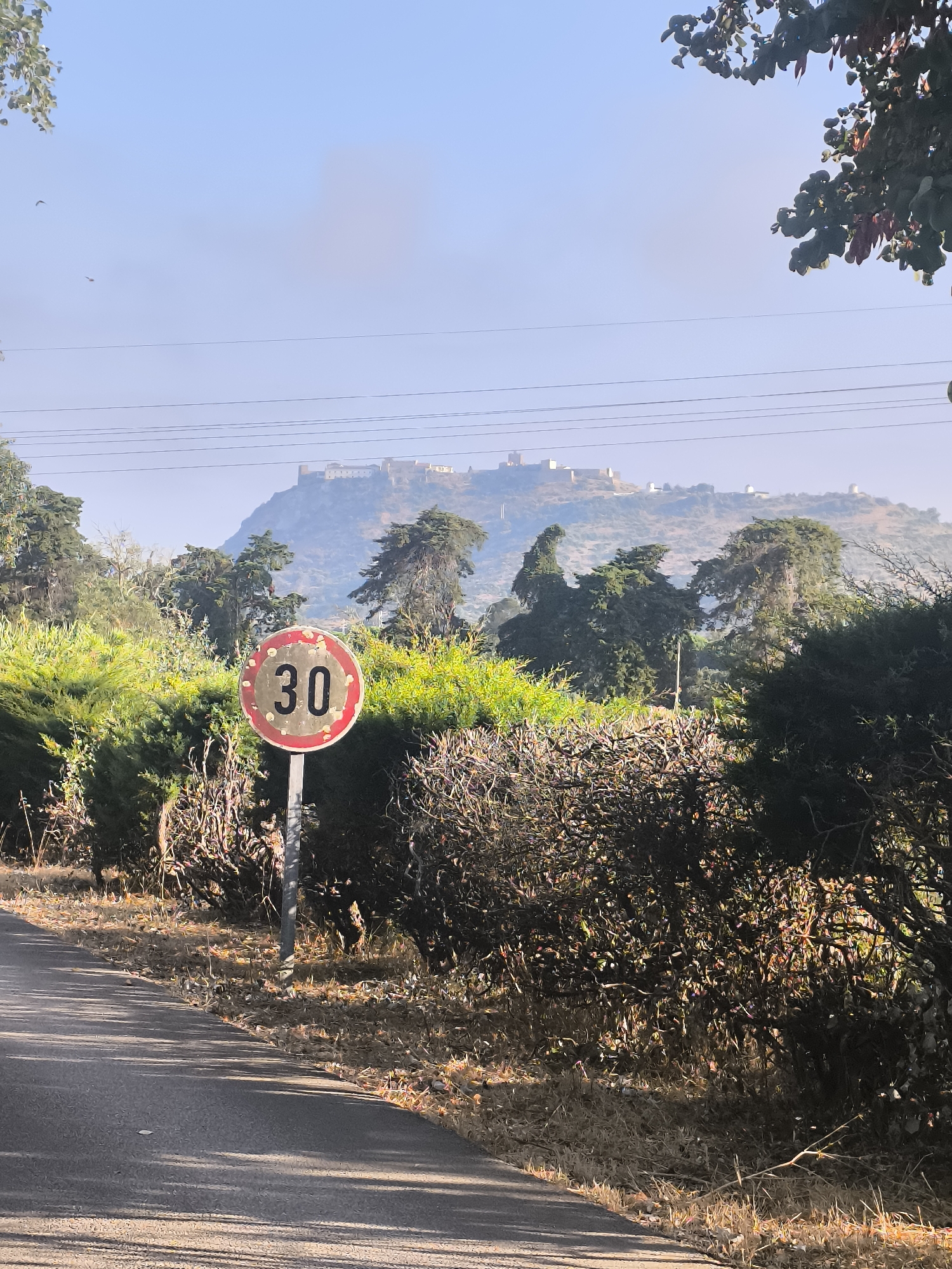 A speed limit sign indicating "30" is posted on a metal pole beside a paved road. The sign is circular with a red border and a white background, with the number "30" in black. Behind the sign, a dense row of green bushes and some dry brush stretches across the landscape. In the background, a hazy mountain range is visible, topped with a structure that appears to be a fortress or castle. Several trees, some with dense foliage and others sparser, are scattered across the middle ground. Overhead, power lines are strung across the sky, and on the far left, a tree branch with green leaves hangs into the frame. The road in the foreground is shaded by diagonal lines of sunlight. The sky is a pale blue with some light haze. There are no people or animals visible in the image. The overall scene suggests a rural or semi-rural environment, potentially on the outskirts of a city, given the presence of the speed limit sign and distant structures.