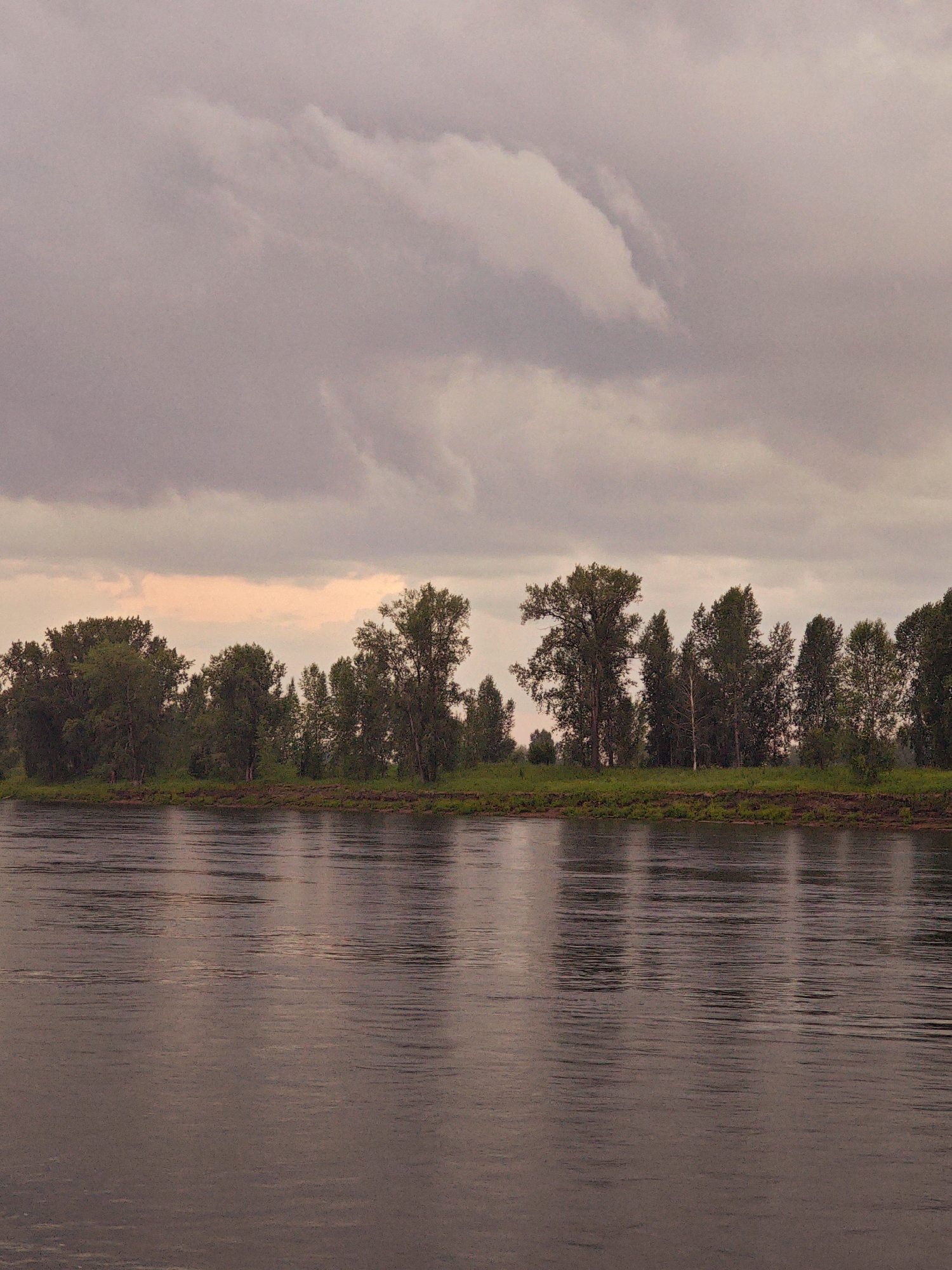 The image shows a wide, calm river in Kazachinskoe, Russia, with a dense line of trees lining the opposite bank. The sky is overcast with heavy, gray clouds, but a soft, pinkish light breaks through in the upper center of the frame, suggesting either sunrise or sunset. The water's surface is rippled, reflecting the muted tones of the sky and the dark green of the trees. The embankment on the far side of the river is covered in grass and appears to be slightly elevated. There are no people or man-made structures visible in the image.