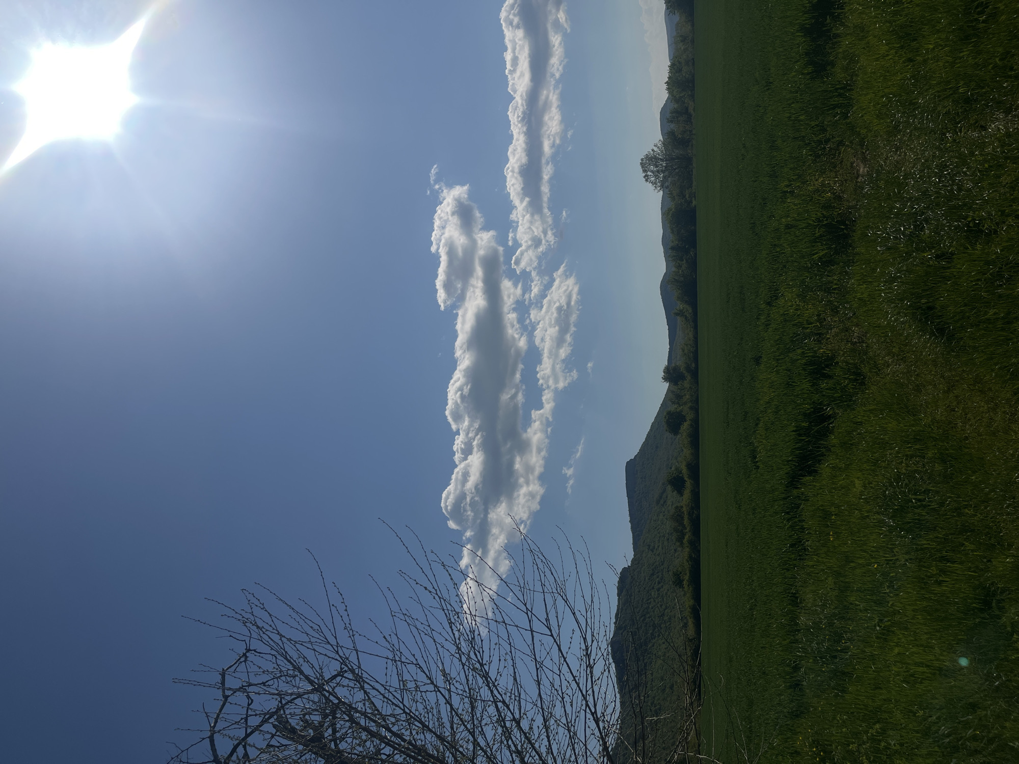 The image depicts a rural landscape in Veselinovo, Bulgaria. In the foreground, there are leafless branches of a tree, obscuring the view to some extent. A field of green vegetation dominates the right side of the frame, suggestive of crops or pasture. In the mid-ground, a line of trees and small mountains separates the field from the sky. A column of white, fluffy clouds rises vertically in the center. The sky is predominantly blue, with a bright sun positioned in the upper left, emitting a strong glare.