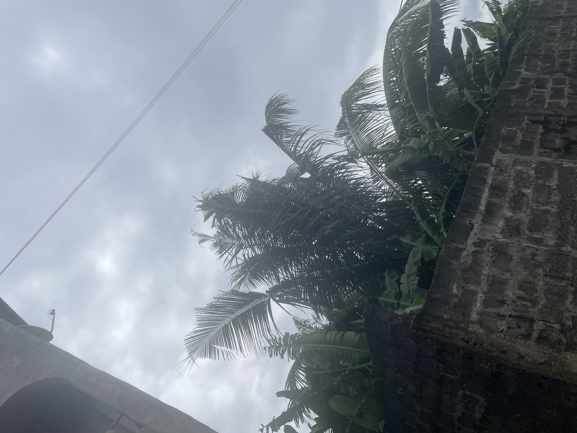 The image depicts a cloudy sky over a brick wall and lush tropical vegetation, including palm and banana trees. A portion of a concrete structure, possibly a building, is visible on the left. Overhead power lines are strung across the sky. This scene is characteristic of the environment found in Badagry, Nigeria, known for its tropical climate and abundant plant life. The low-lying clouds suggest a potentially overcast or rainy day. The brick wall appears weathered and aged, indicating an outdoor setting in an established area. There are no people or animals visible in the frame. The focus is on the natural elements and the man-made structures that form the visual landscape.