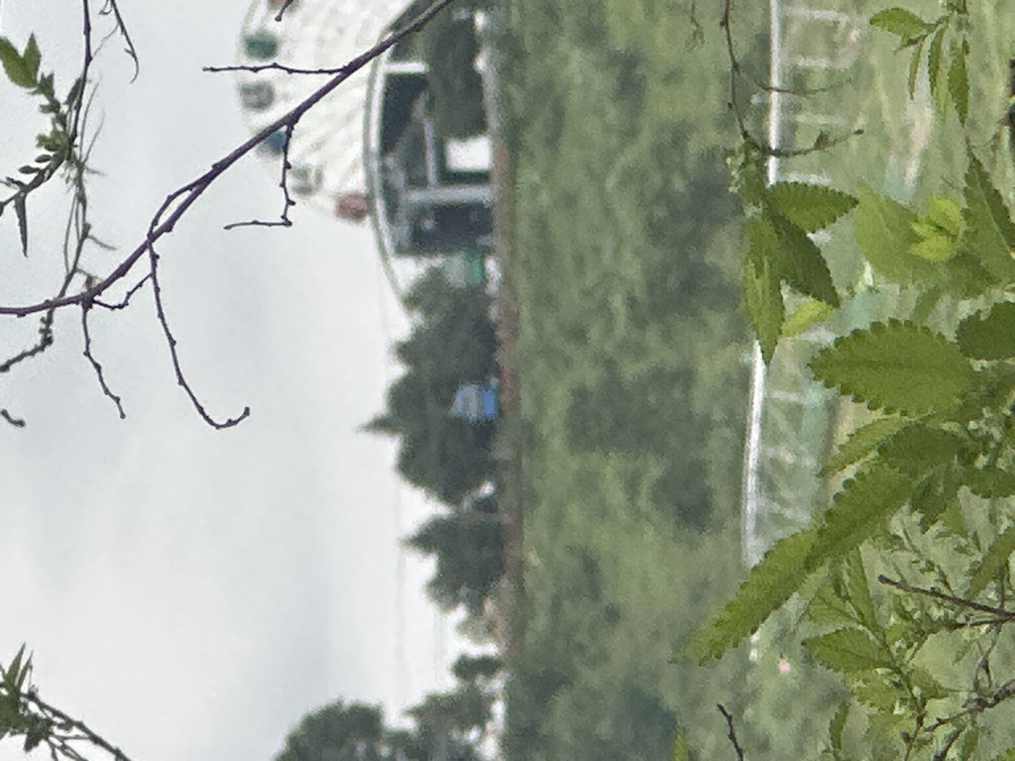 The image depicts a hazy outdoor scene with a focus on foliage in the foreground. In the background, a blurred Ferris wheel structure is visible, along with a building with a large archway. The overall impression is of a landscape with elements of human construction, possibly a park or amusement area, set against a backdrop of overcast skies. The precise location in Almaty, Kazakhstan, cannot be definitively identified from the visual information provided.