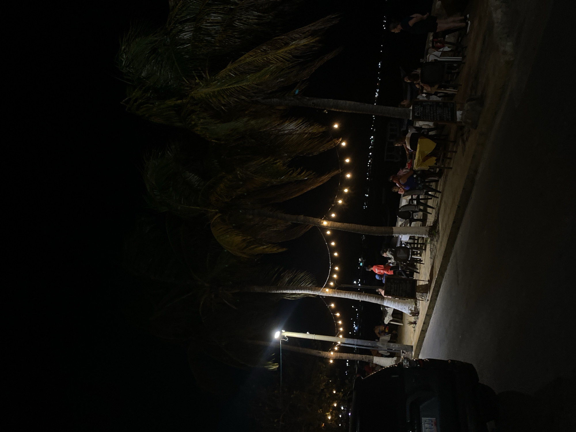 At nighttime in Juan Griego, Venezuela, palm trees line the coast illuminated by strings of lights. People are seated at outdoor tables, engaging in conversation and dining. A vehicle is parked on the roadside.