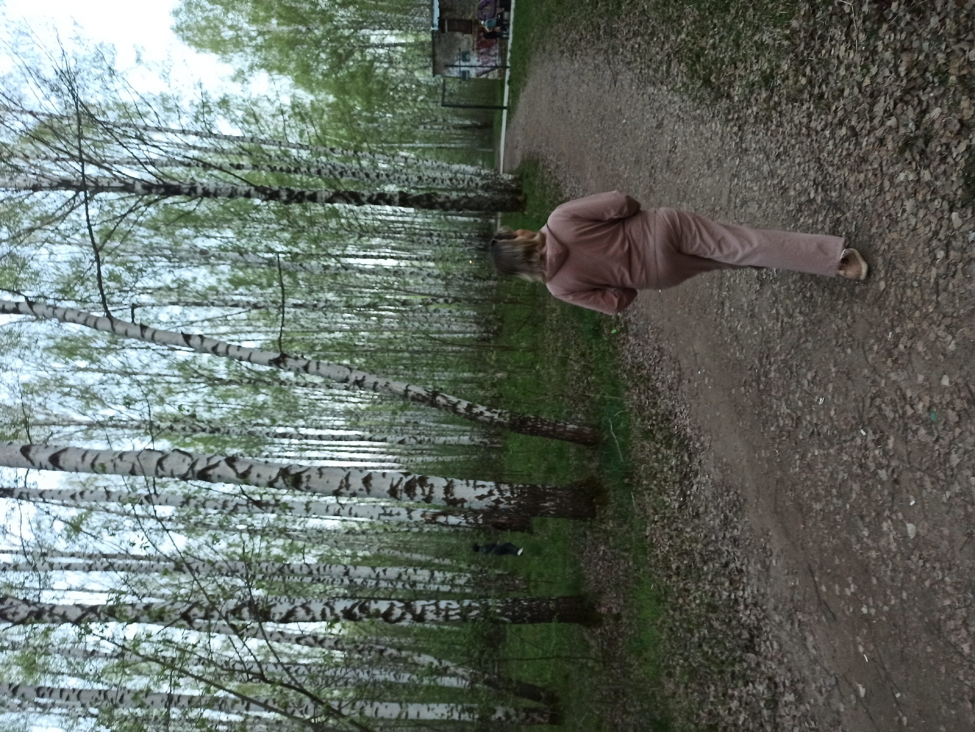The image shows a woman walking along a dirt path in a birch forest. The woman is wearing a pinkish-brown tracksuit and sandals. The birch trees are tall and slender with white bark and black markings. The path is covered with fallen leaves and dirt. The location is in a forest, possibly a park, in the city of Unknown, Unknown.