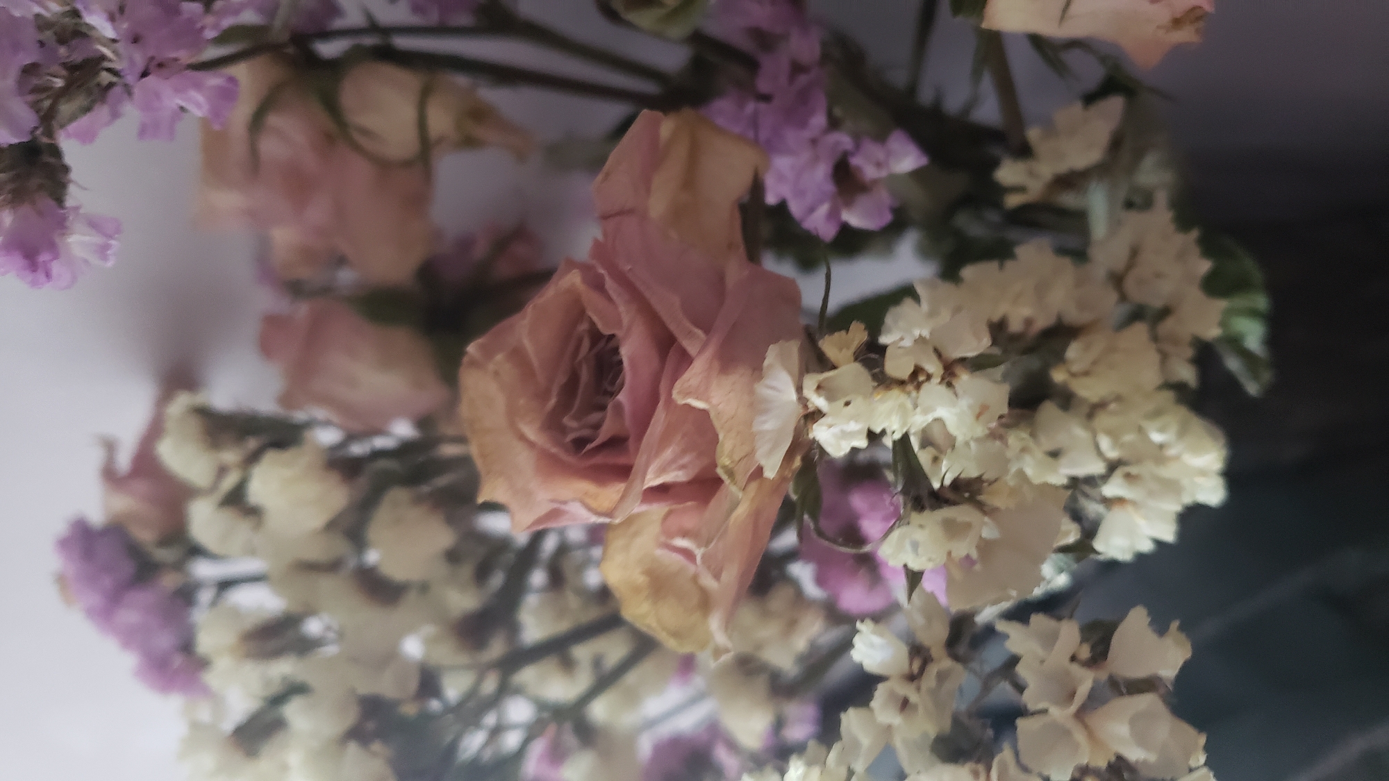 The image shows a close-up of a dried flower arrangement. A pale pink rose, slightly wilted, is the prominent subject in the center. Surrounding the rose are clusters of small, delicate white and purple dried flowers. The background is a softly lit, neutral-colored wall. No specific location in Bratislava, Slovakia can be identified from the image. There are no people, actions, or interactions depicted.