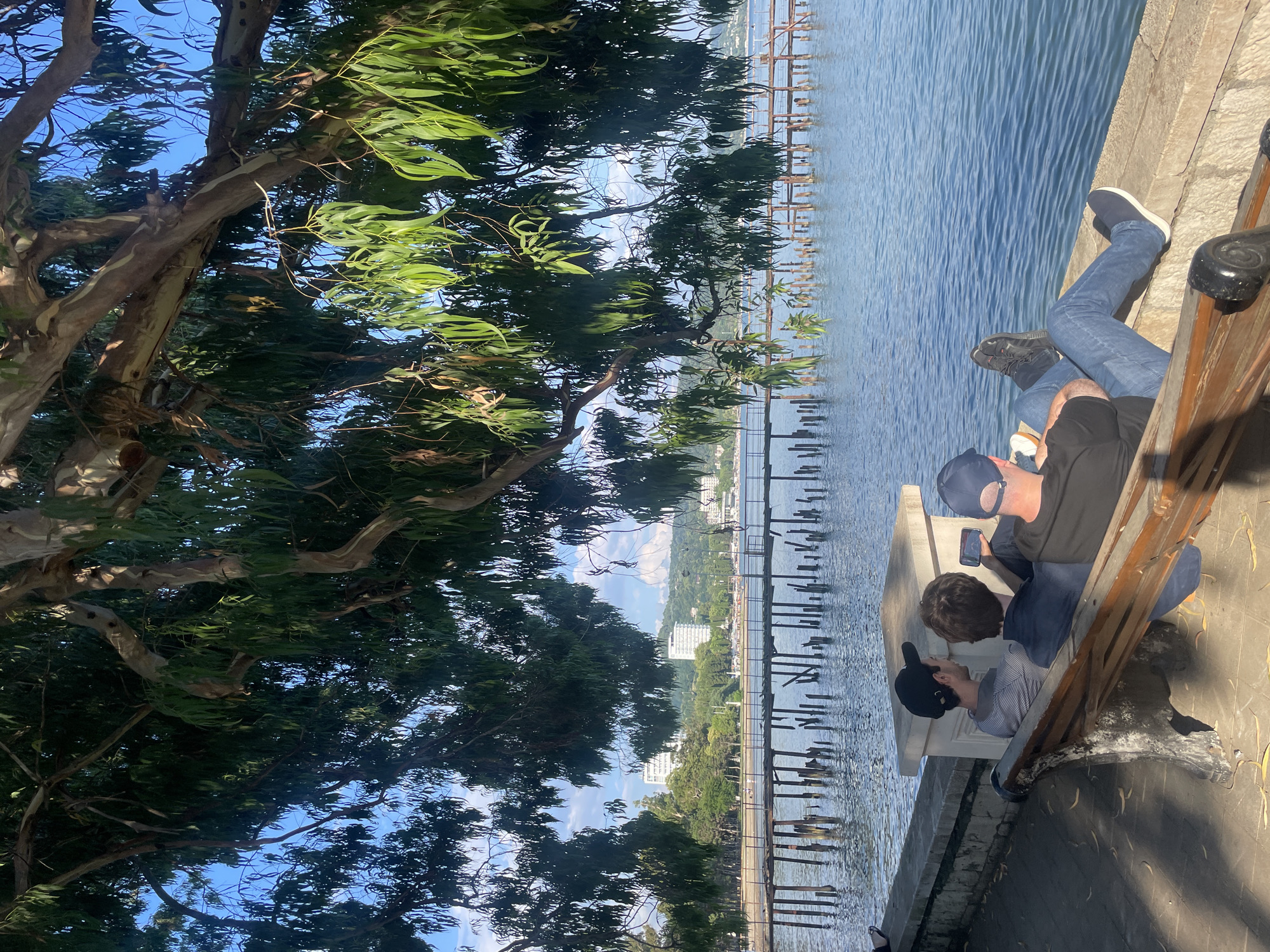 Three individuals are seated on a wooden bench facing a body of water, likely the sea, in Sokhumi, Abkhazia. The bench is positioned on a paved walkway alongside a stone wall. The individual on the left wears a black baseball cap and a striped shirt. The middle individual is dressed in a dark shirt and holds a mobile phone. The person on the right wears a blue baseball cap and a black t-shirt, with their legs crossed.
The water's surface is calm, reflecting the bright blue sky with scattered clouds. In the background, a wooden pier extends over the water, supported by numerous vertical posts. Beyond the pier, a sandy beach is visible, backed by a line of trees and several multi-story buildings. The scene is framed by the overhanging branches and long, slender leaves of a large tree. The lighting suggests it is daytime, with sunlight casting shadows on the walkway.