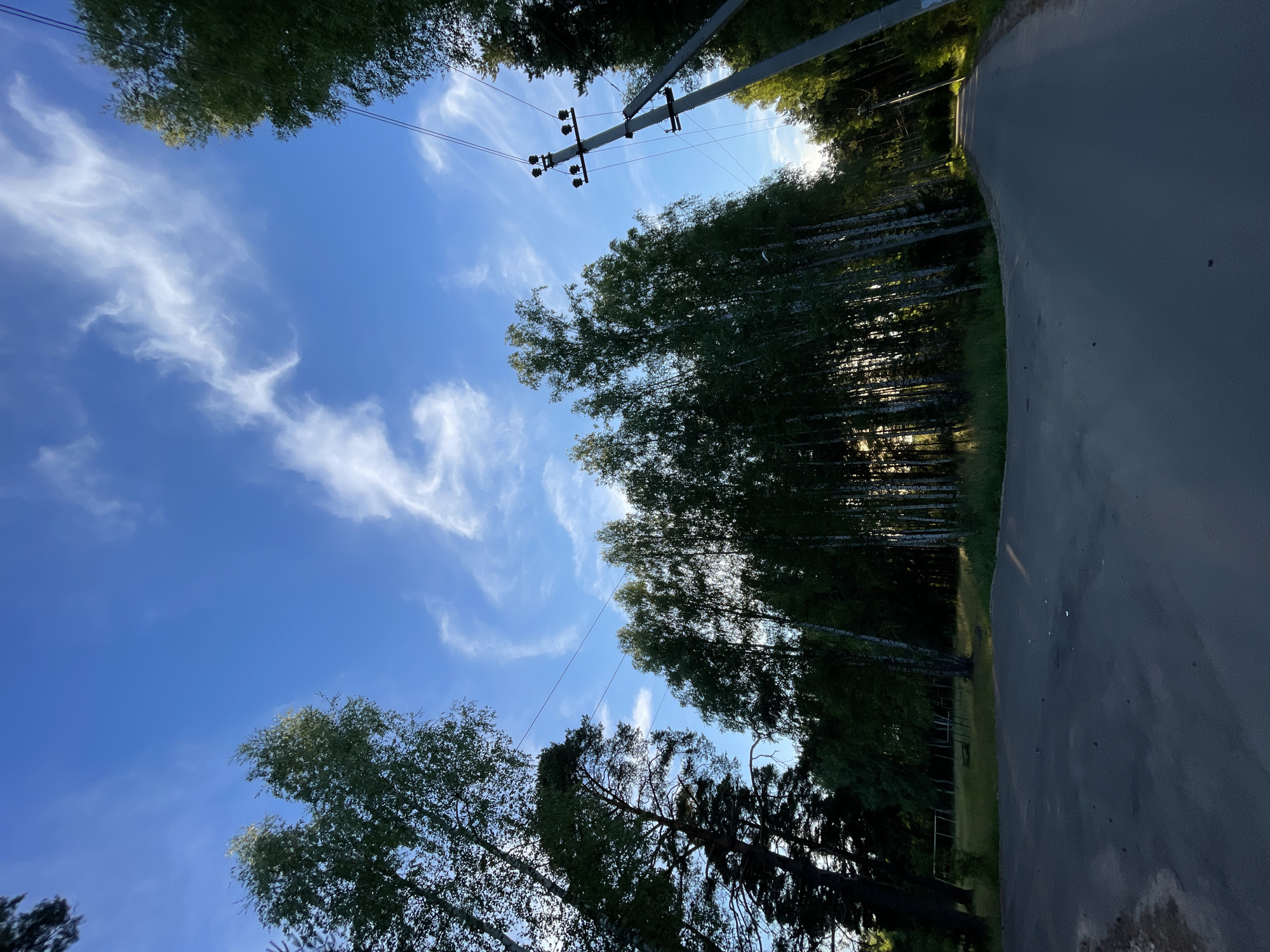This media file depicts a road bordered by a dense forest of birch and coniferous trees, with a clear blue sky dotted with wispy white clouds overhead. A utility pole with electrical wires stands prominently on the left side of the road, suggesting the presence of infrastructure in a rural or semi-rural setting. The sun appears to be low in the sky, casting long shadows and highlighting the dappled sunlight filtering through the trees, indicating either early morning or late afternoon. The overall mood is peaceful and serene, with the natural beauty of the forest contrasted by the man-made elements of the road and power lines. There is no visible text in the media. The location is identified as Zarechny, Russia, which fits the visual cues of a forested landscape with utility infrastructure.