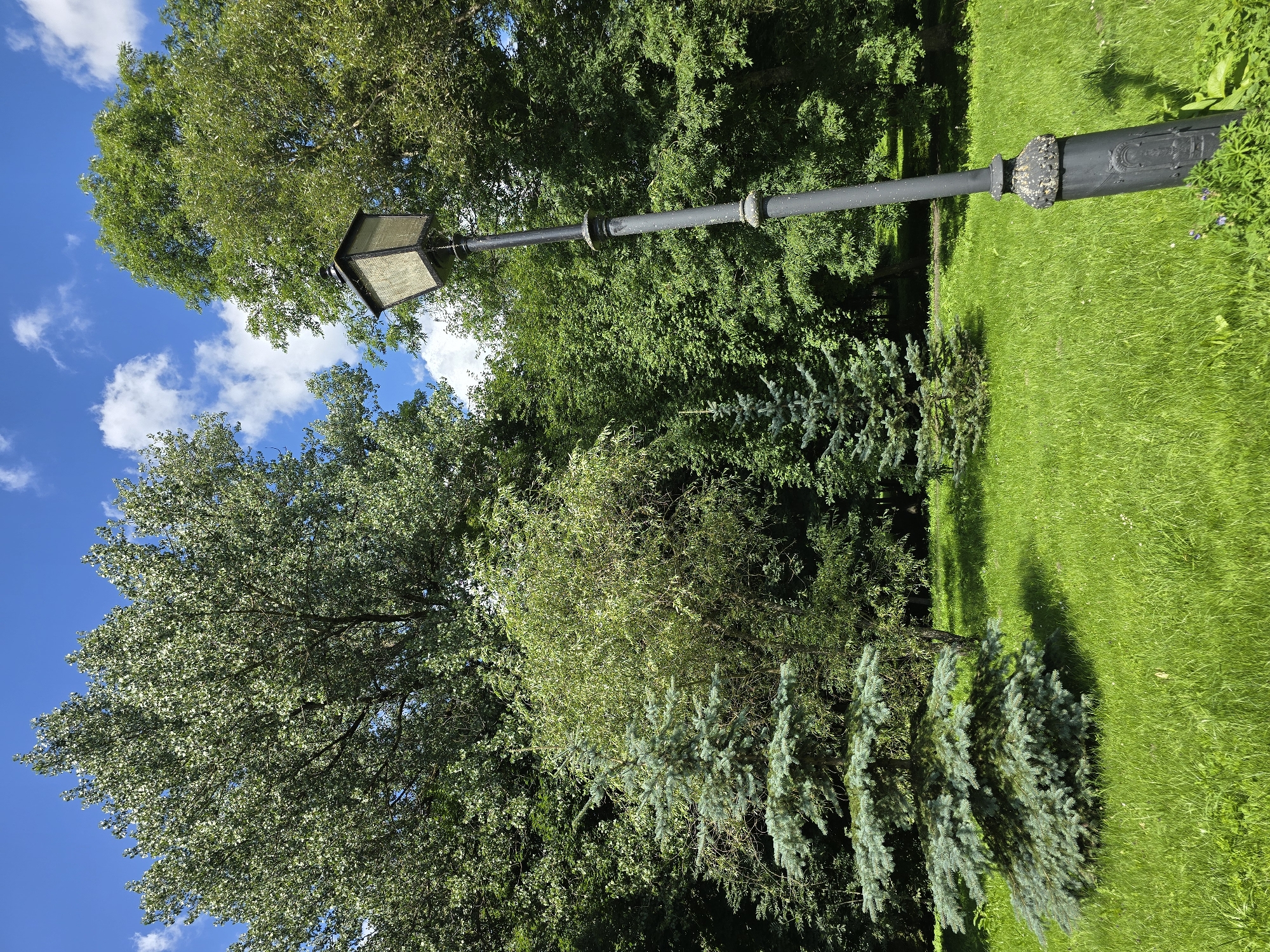 The image depicts a green, grassy park area with various trees under a bright blue sky with white clouds. A tall, black lamppost stands prominently in the foreground on the right side of the image. The lamppost has a weathered, old-fashioned lantern at the top and decorative metal elements along its shaft and base. In the background, a dense array of lush green trees forms a natural backdrop, with sunlight filtering through the leaves. Two small blue spruce trees are visible on the left side of the frame, and a larger tree with lighter green foliage is behind them. The grass is well-maintained and appears to be a common feature of a public park. The overall scene suggests a serene outdoor setting on a sunny day. This location is within the city of Nesvizh, Belarus, likely in the park grounds surrounding Nesvizh Castle, a UNESCO World Heritage site known for its extensive and beautifully preserved gardens.