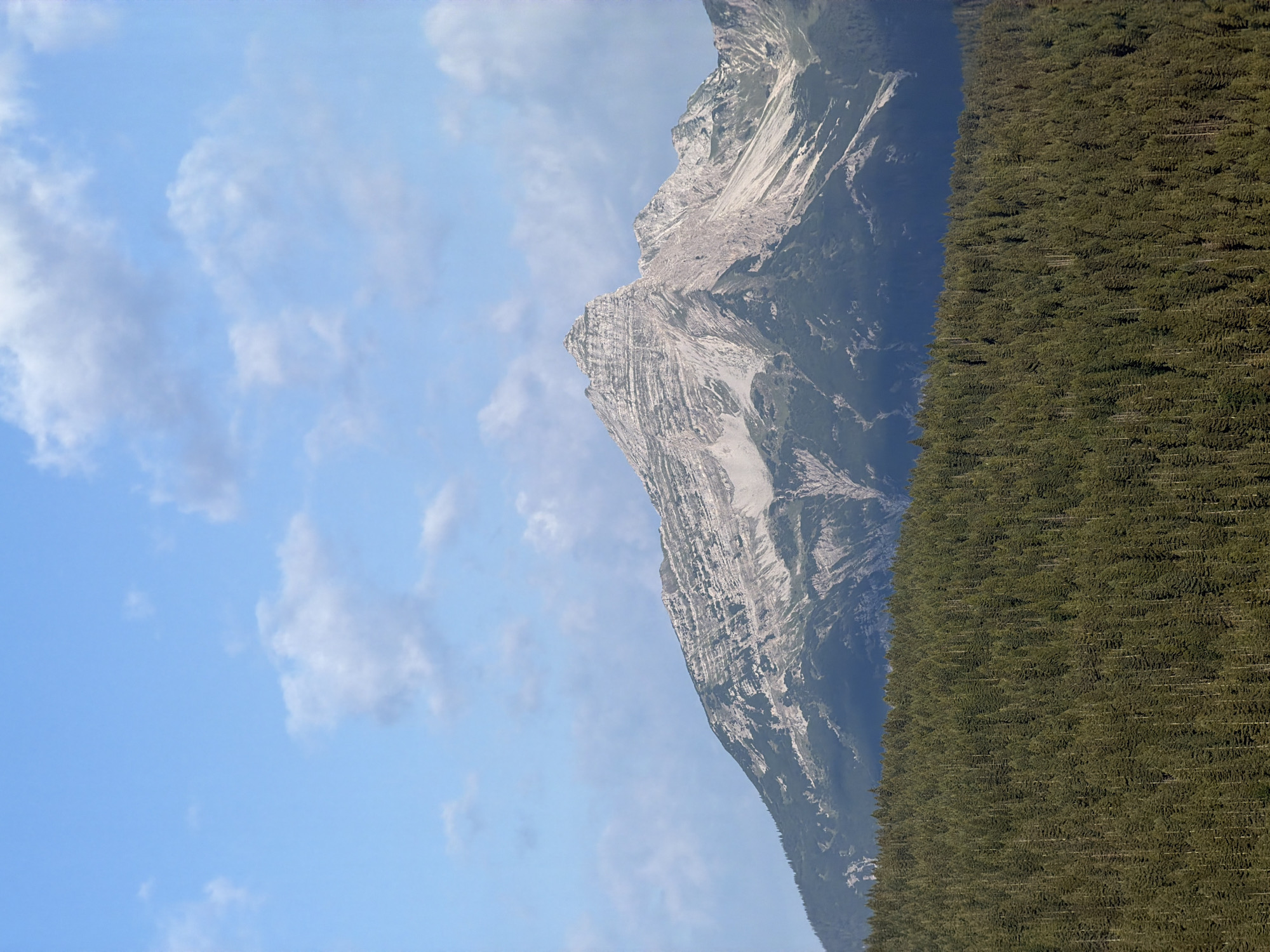 The image depicts a serene mountain landscape, with a dense, dark green forest in the foreground and a jagged, rocky mountain peak in the background, reaching towards a pale blue sky dotted with white clouds. The mountain exhibits distinct striations and weathered rock formations, suggesting its geological age and the effects of erosion. The forest appears to be composed of coniferous trees, creating a uniform, textured carpet on the lower slopes. The lighting suggests it is either morning or late afternoon, with soft shadows cast across the mountain face. There are no people or man-made structures visible in the image, presenting a natural and undisturbed environment. This scene is consistent with the scenic beauty found in the Bavarian Alps region, which includes the municipality of Grainau, Germany, known for its proximity to the Zugspitze, Germany's highest peak, and the surrounding natural splendor.