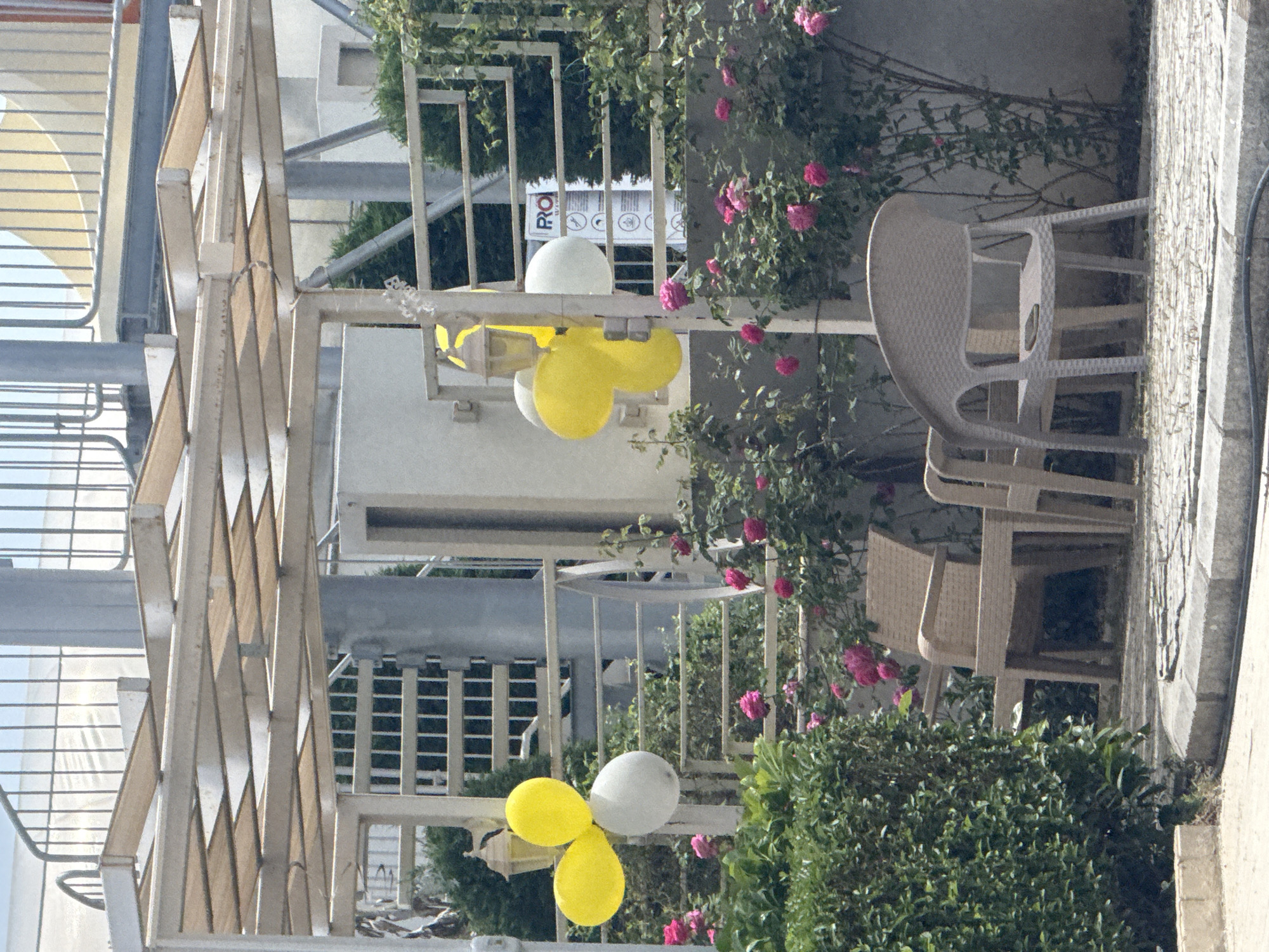 The image depicts an outdoor scene in an unidentified urban area. Foreground elements include a cream-colored metal pergola-like structure with angular, patterned sun shades above. Attached to the structure are arrangements of yellow and white balloons, some positioned higher, some lower. The background consists of a bush with pink flowers, part of a wall with a sign on it, and outdoor furniture, specifically stacked white plastic chairs and a small table. A partial view of a metal structure, possibly part of a building or awning, is seen on the left side of the frame. The picture appears to be taken in daylight with natural lighting, presenting clear visibility of the elements mentioned.